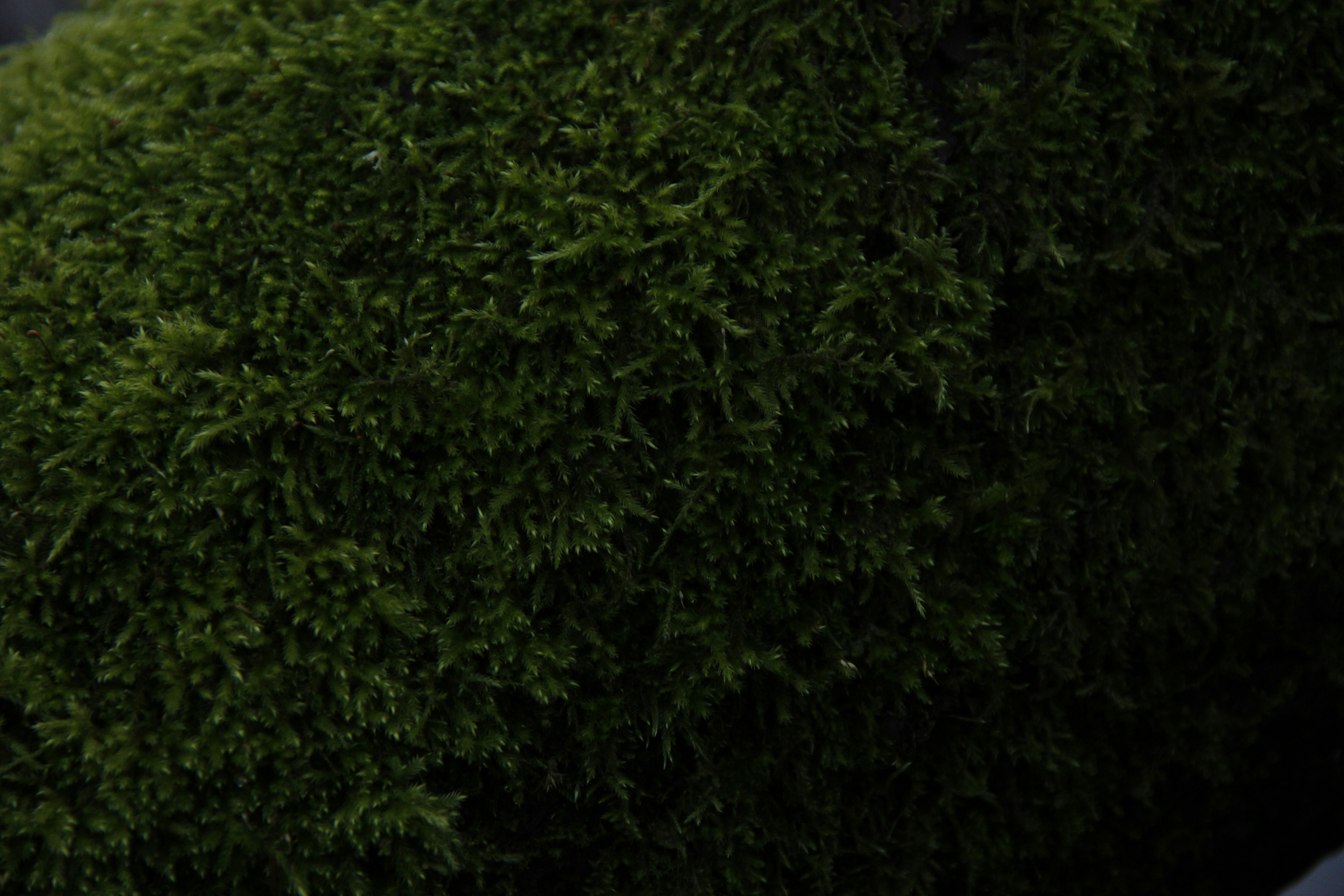 Photo by rileyrevell