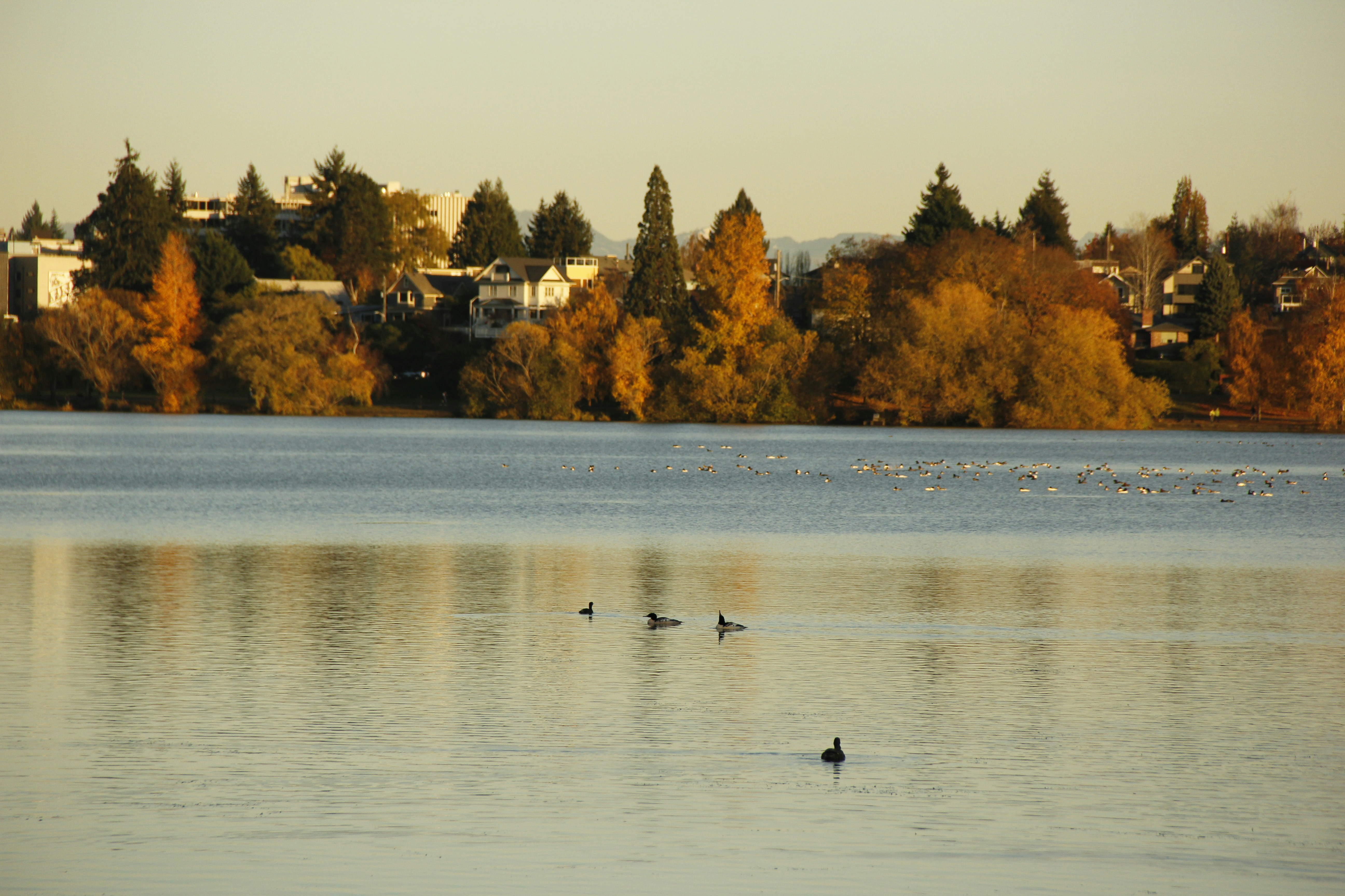 Photo by rileyrevell