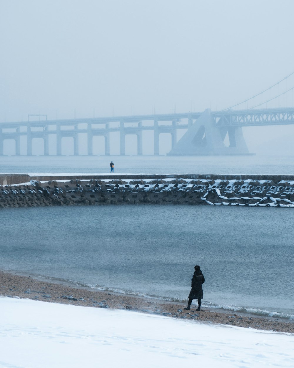 a person walking on a beach next to a body of water