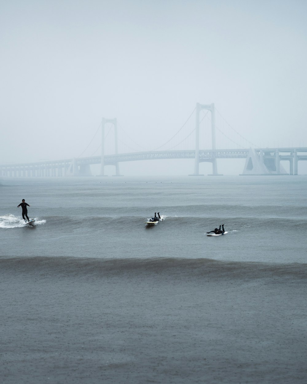 a group of people riding surfboards on top of a body of water