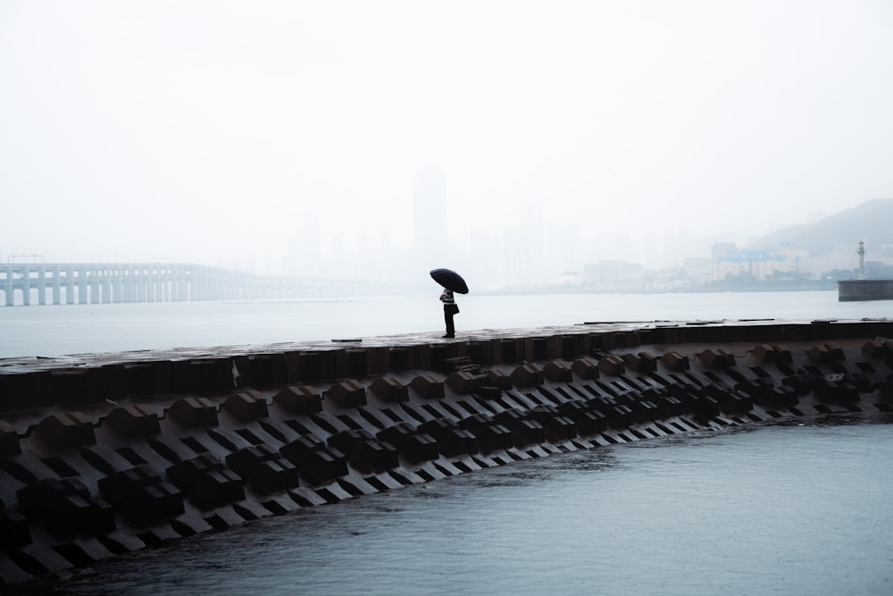 a person with an umbrella standing on the edge of a body of water