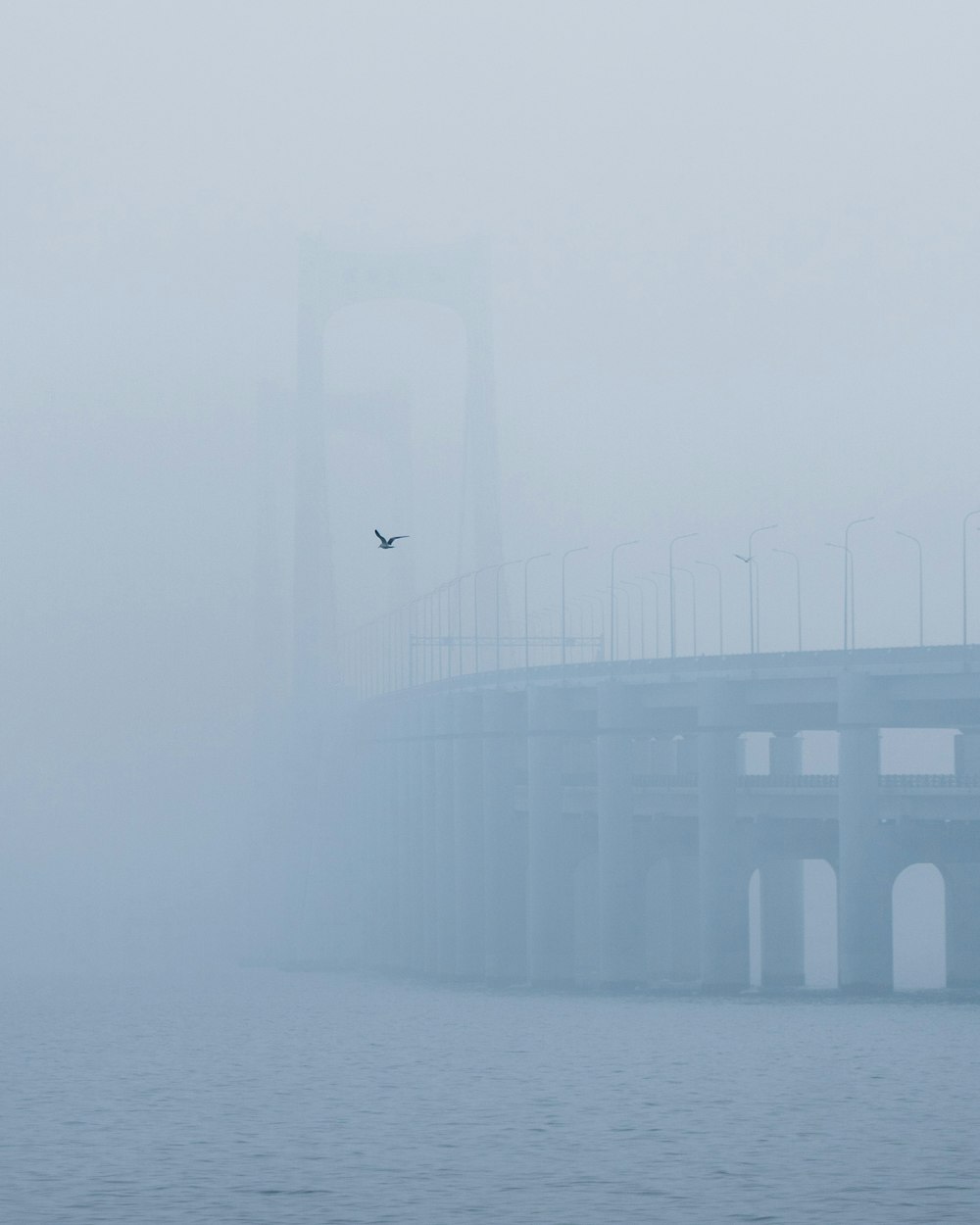 a bird flying over a bridge on a foggy day