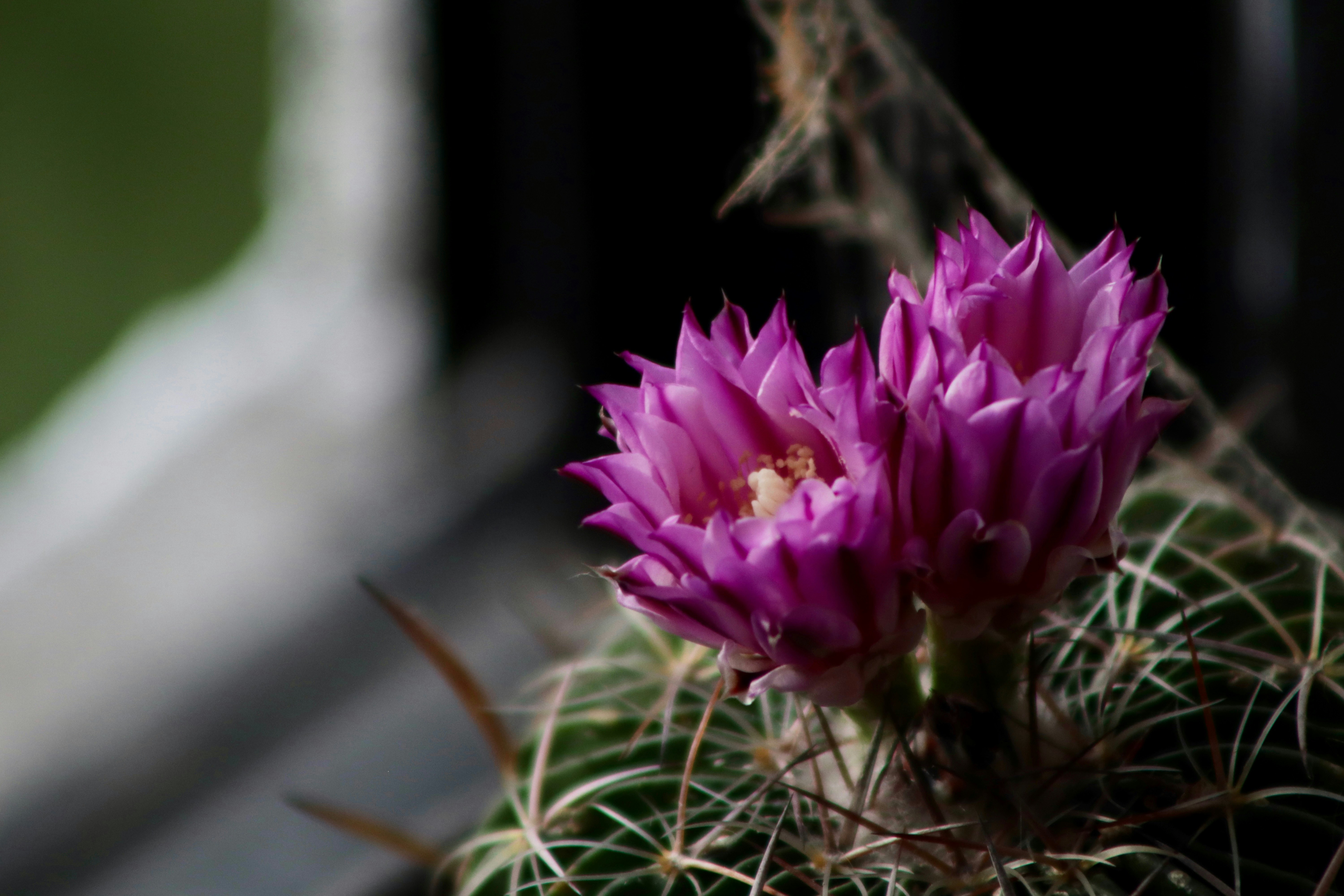 Photo by jorgeel_vm09