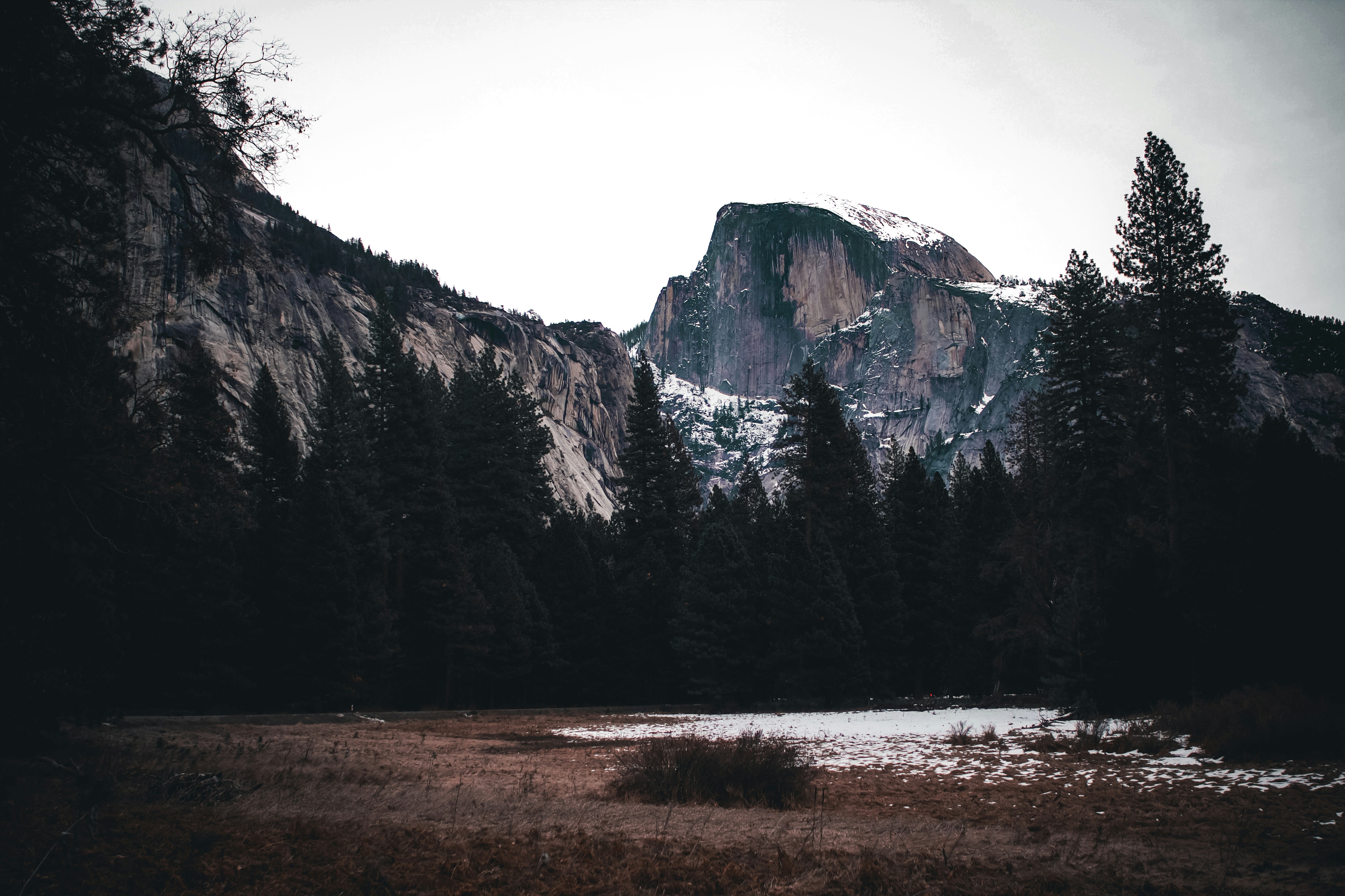 Photo by juniperoverbeke