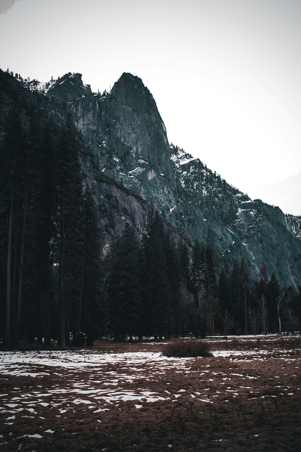 ein Feld mit einem Berg im Hintergrund