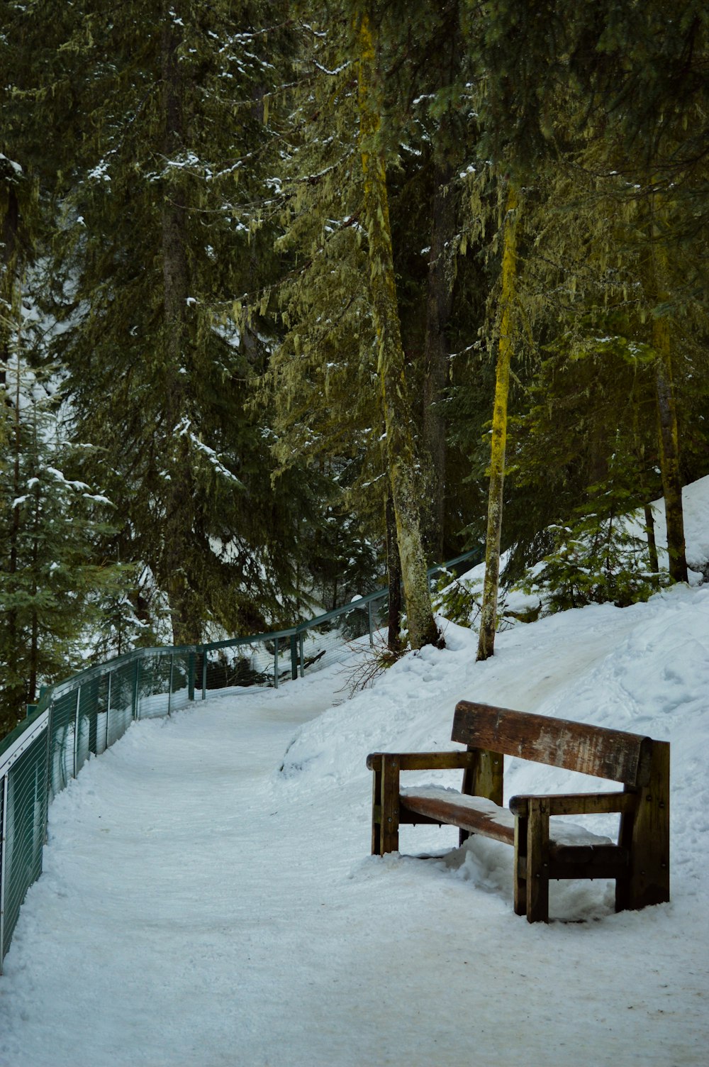雪に覆われた斜面の上に鎮座する木製のベンチ