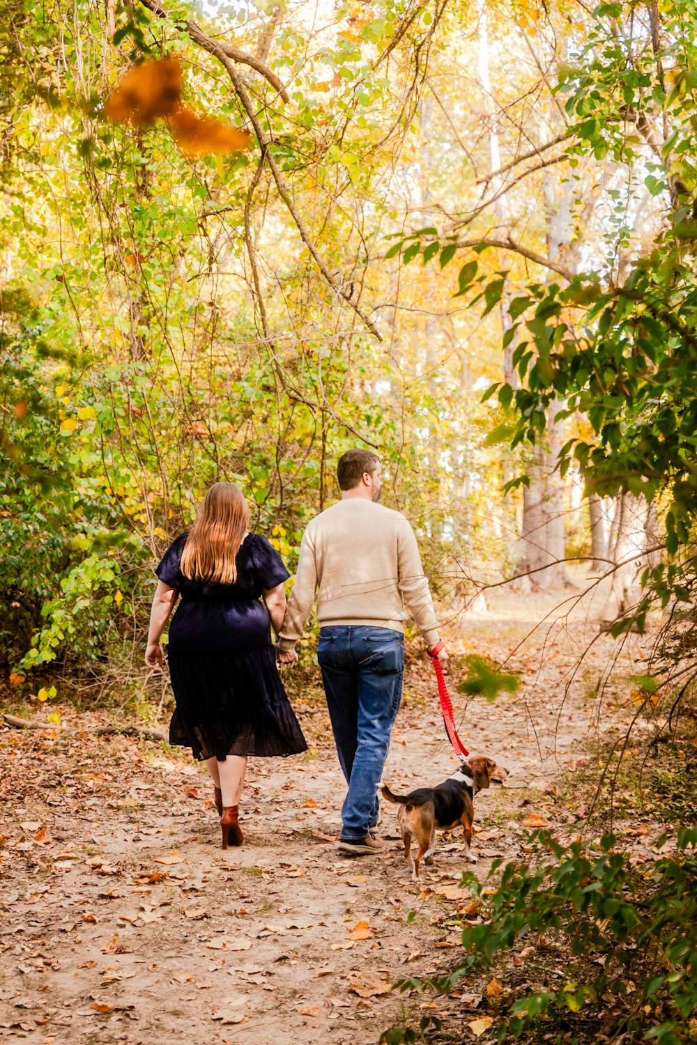 a man and a woman walking a dog in the woods