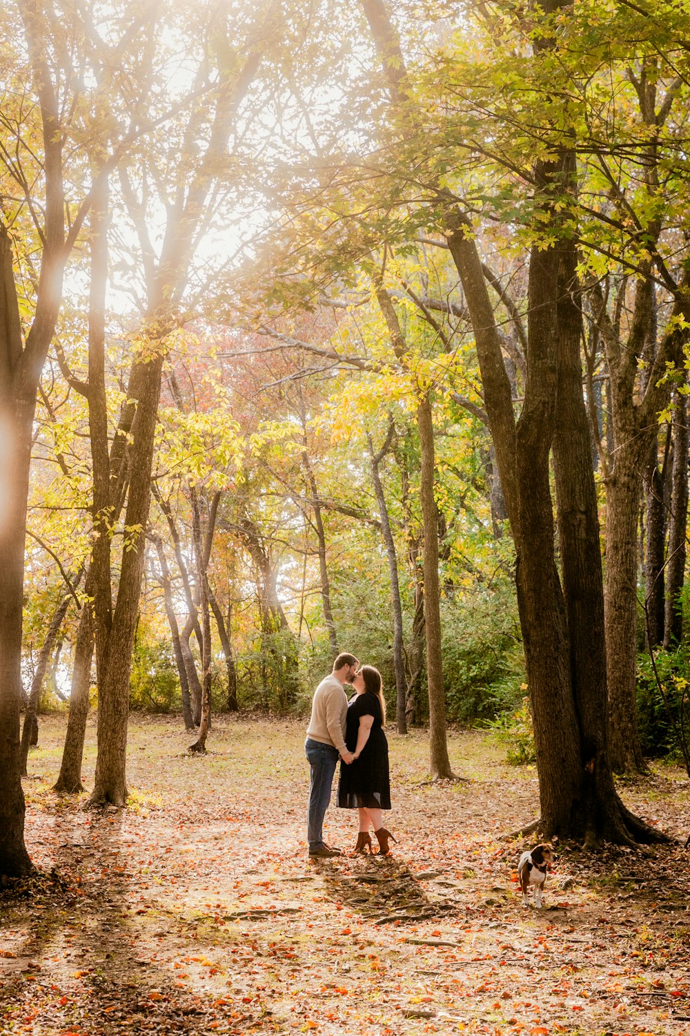 a couple kissing in the woods surrounded by trees