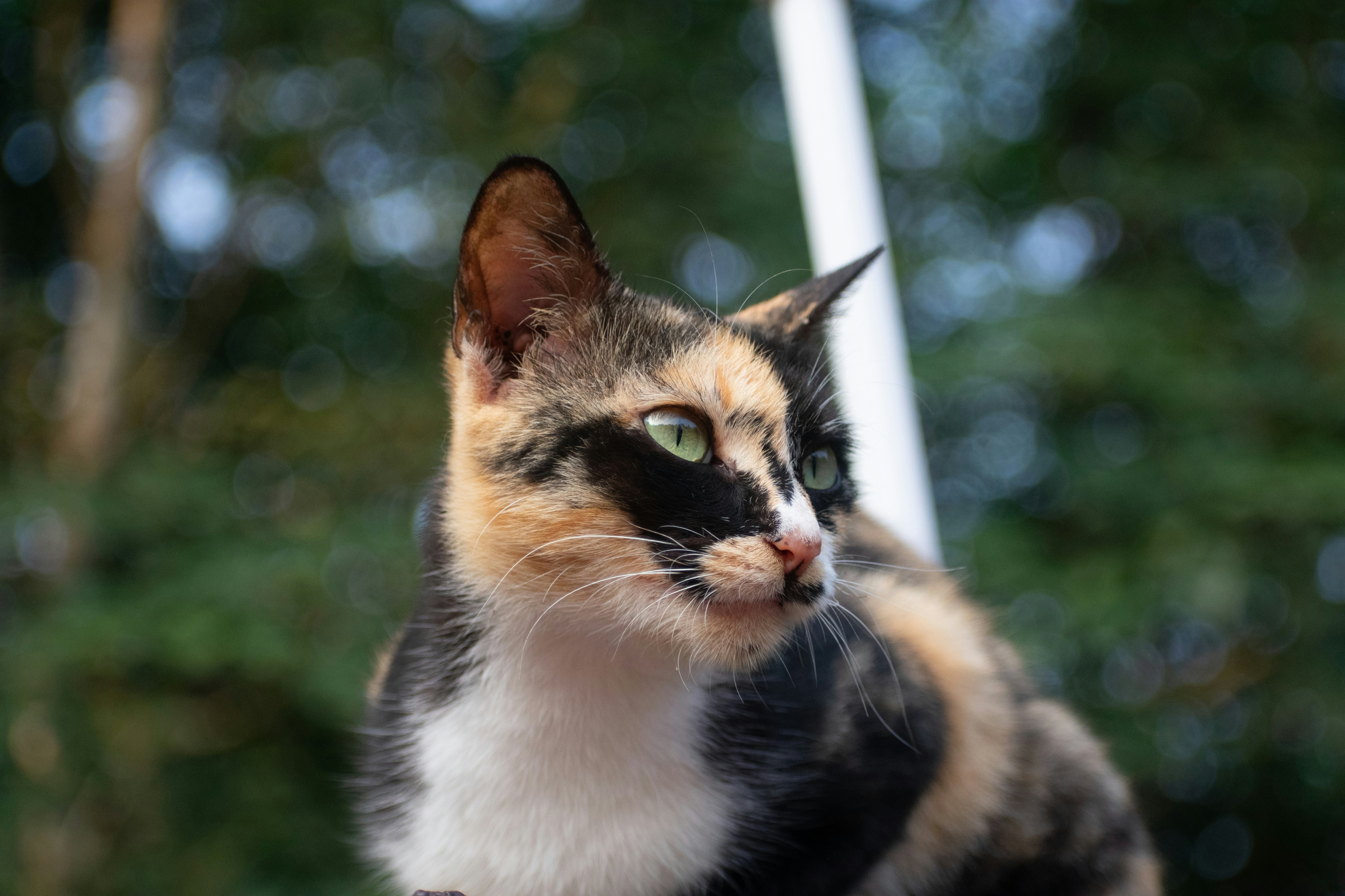 Photo by martinphotography