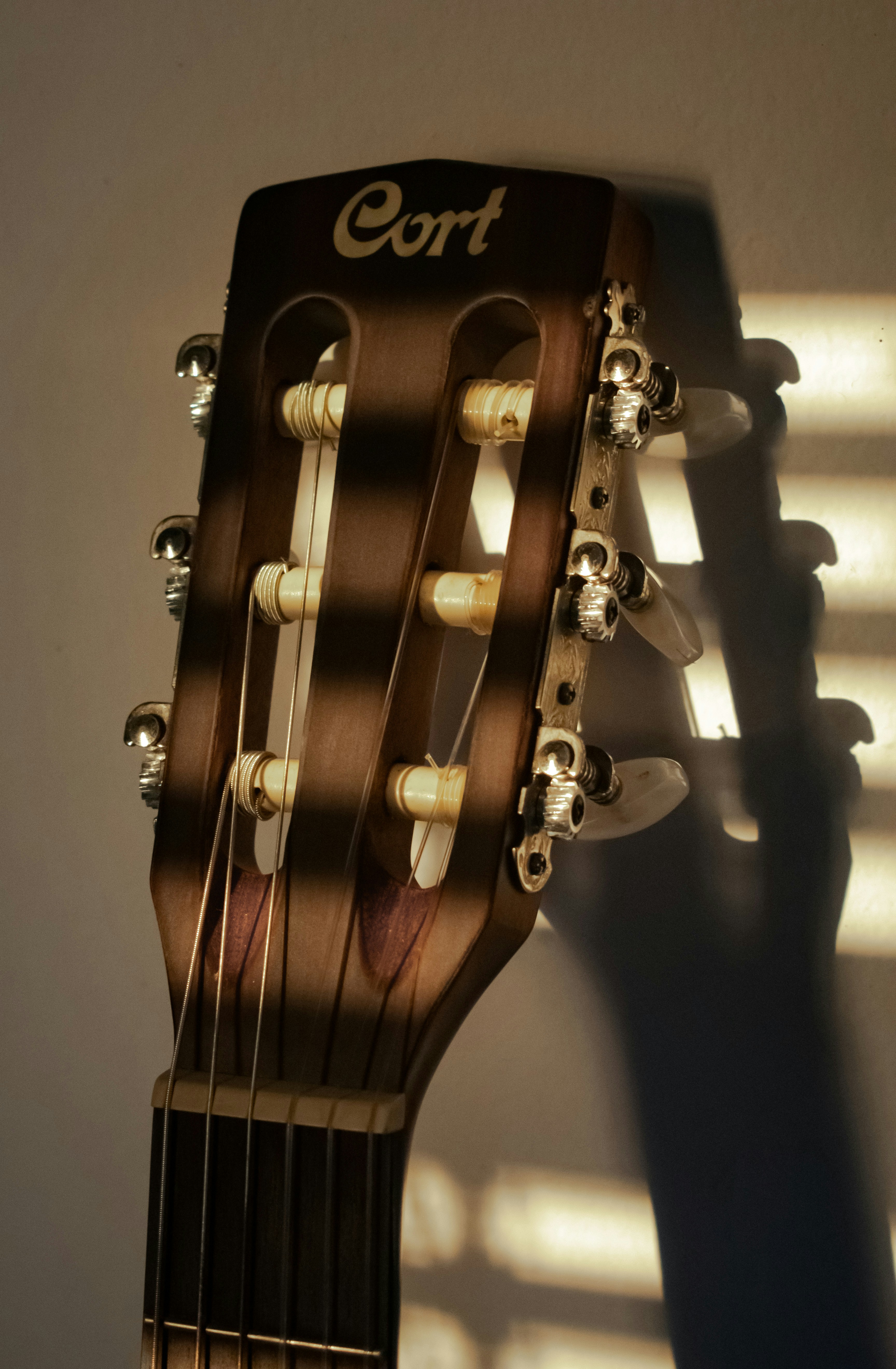 a close up of a guitar's neck and frets