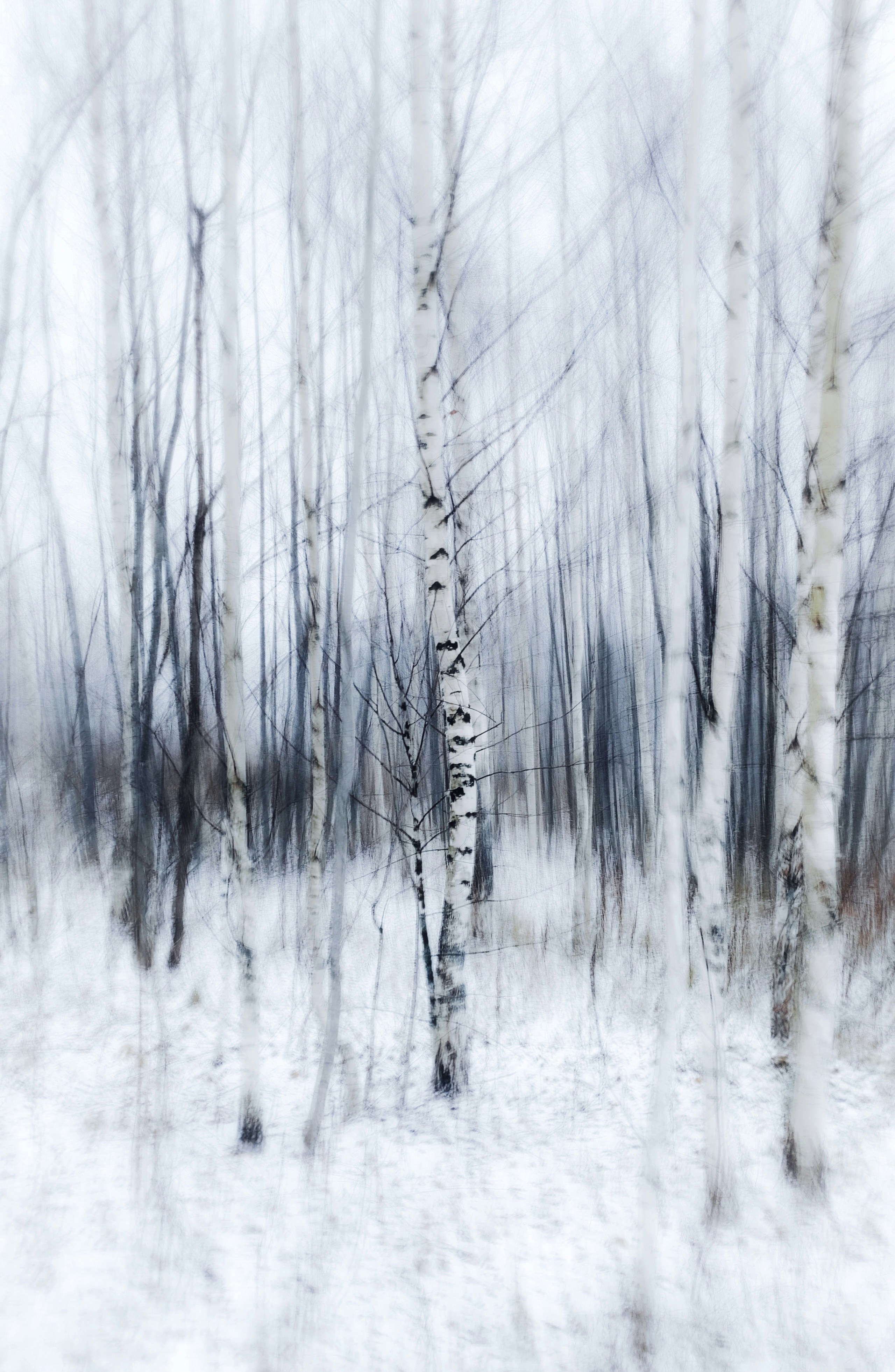 Photo by eugene_golovesov