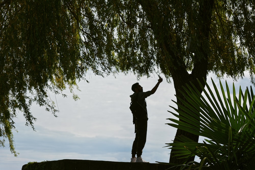 a person standing on a ledge reaching up to a tree