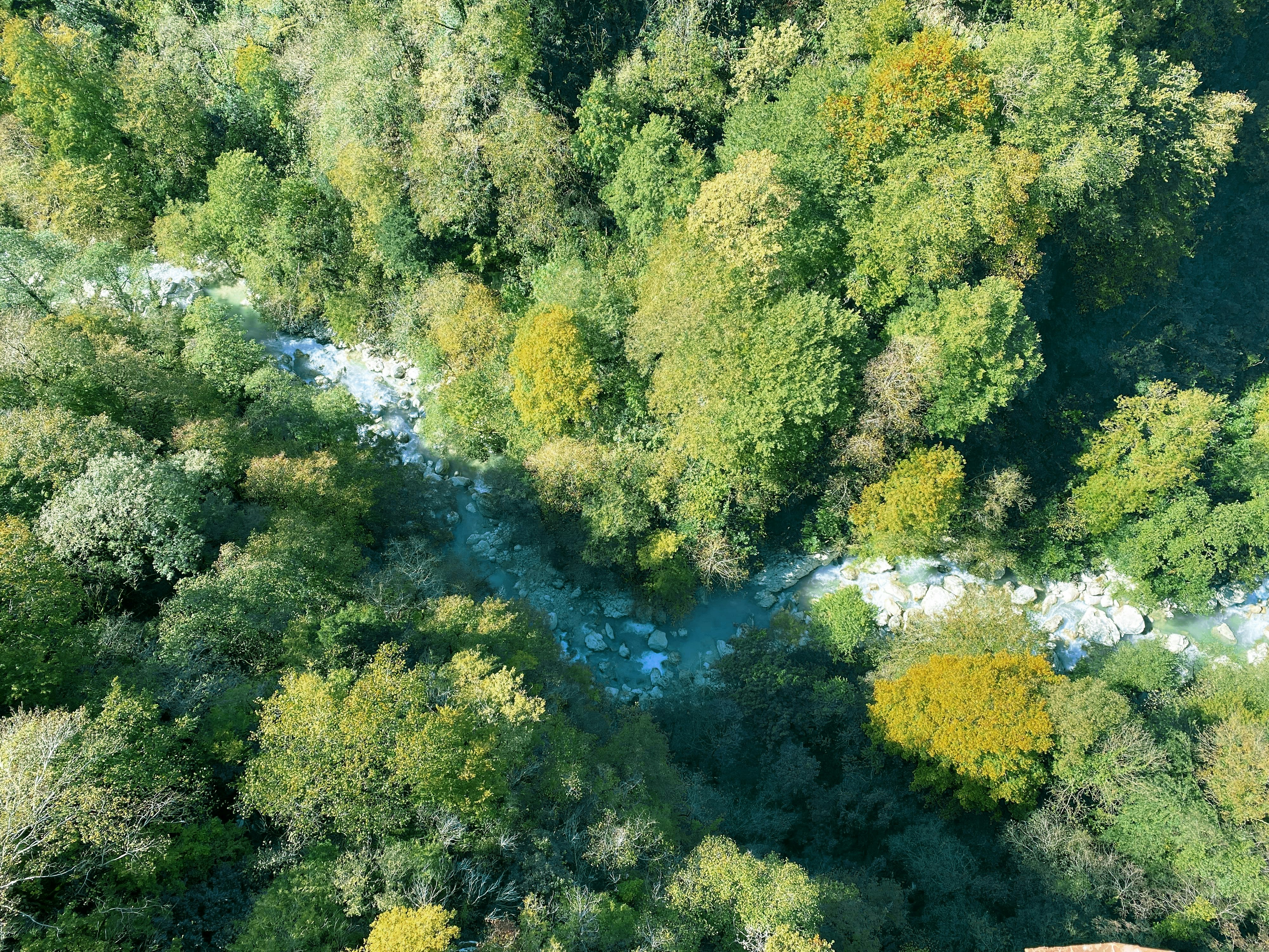 Photo by your_scorpion