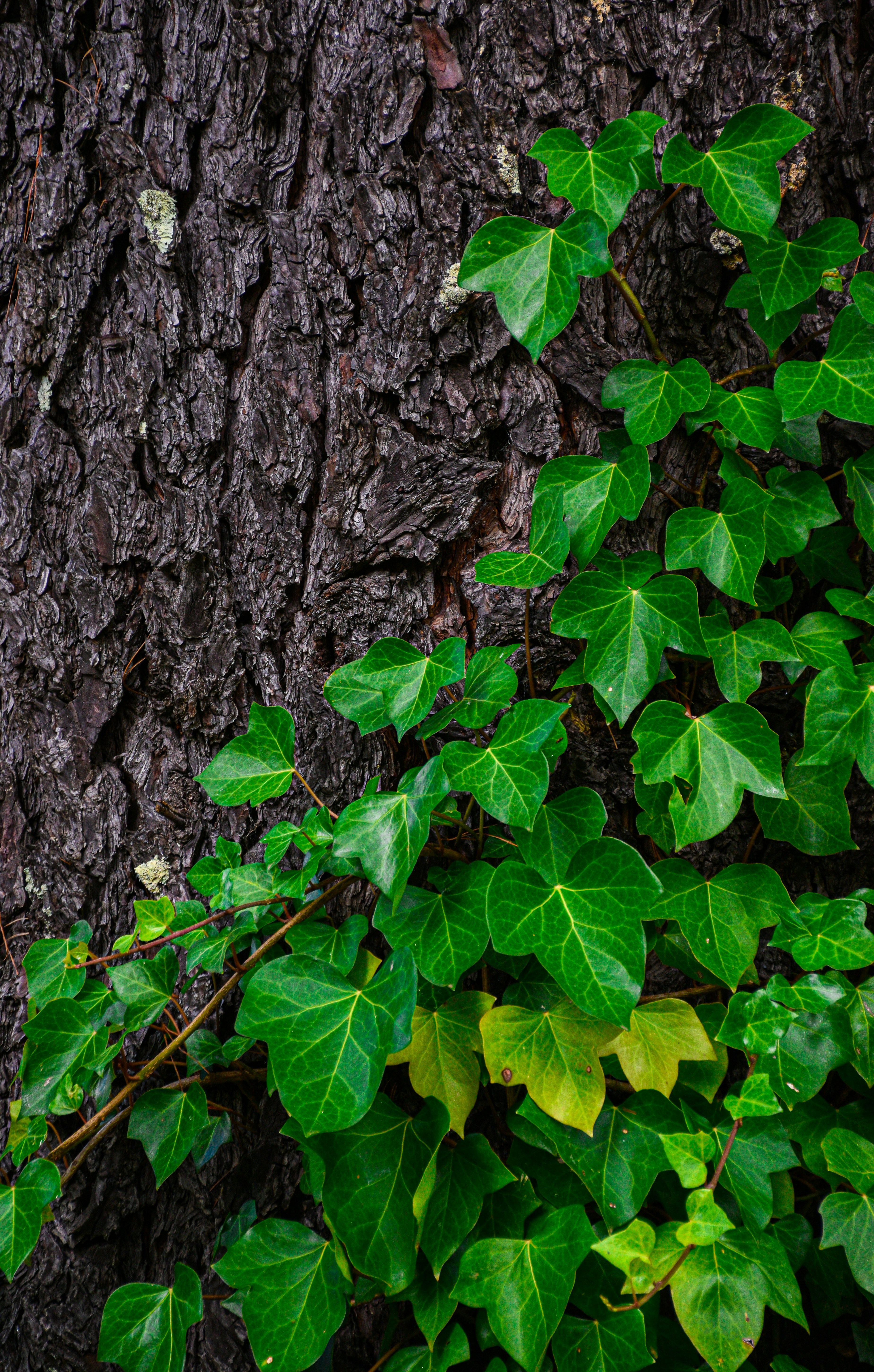 Photo by adam_skrinnikoff