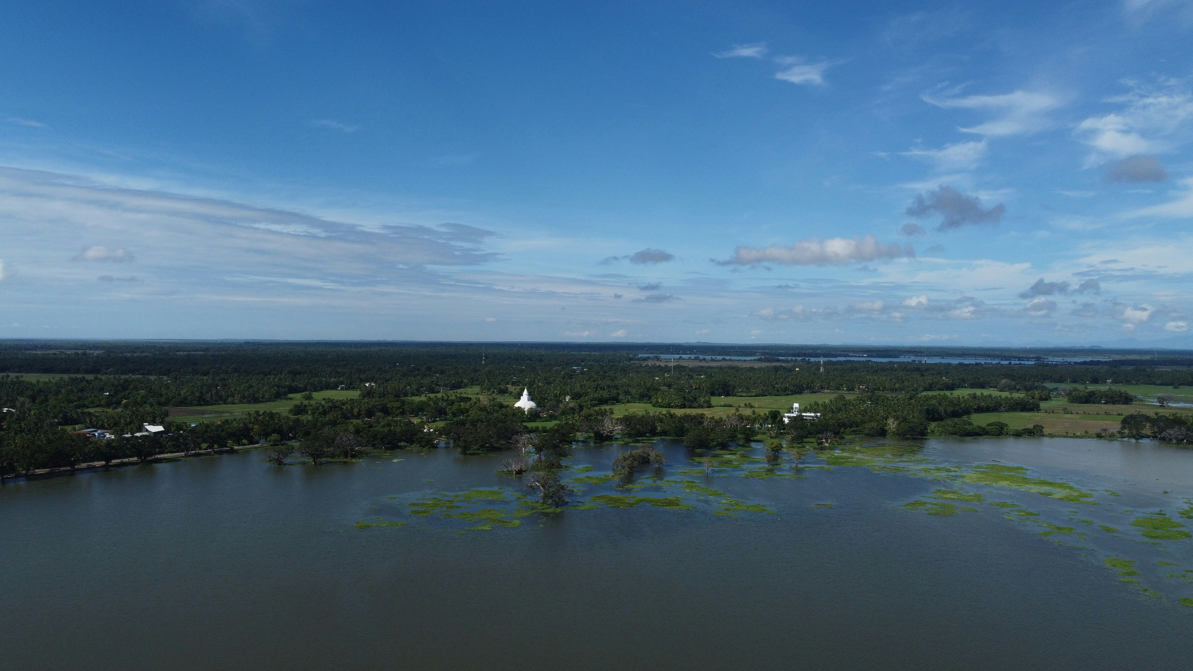 Bone Lake surrounded by forest