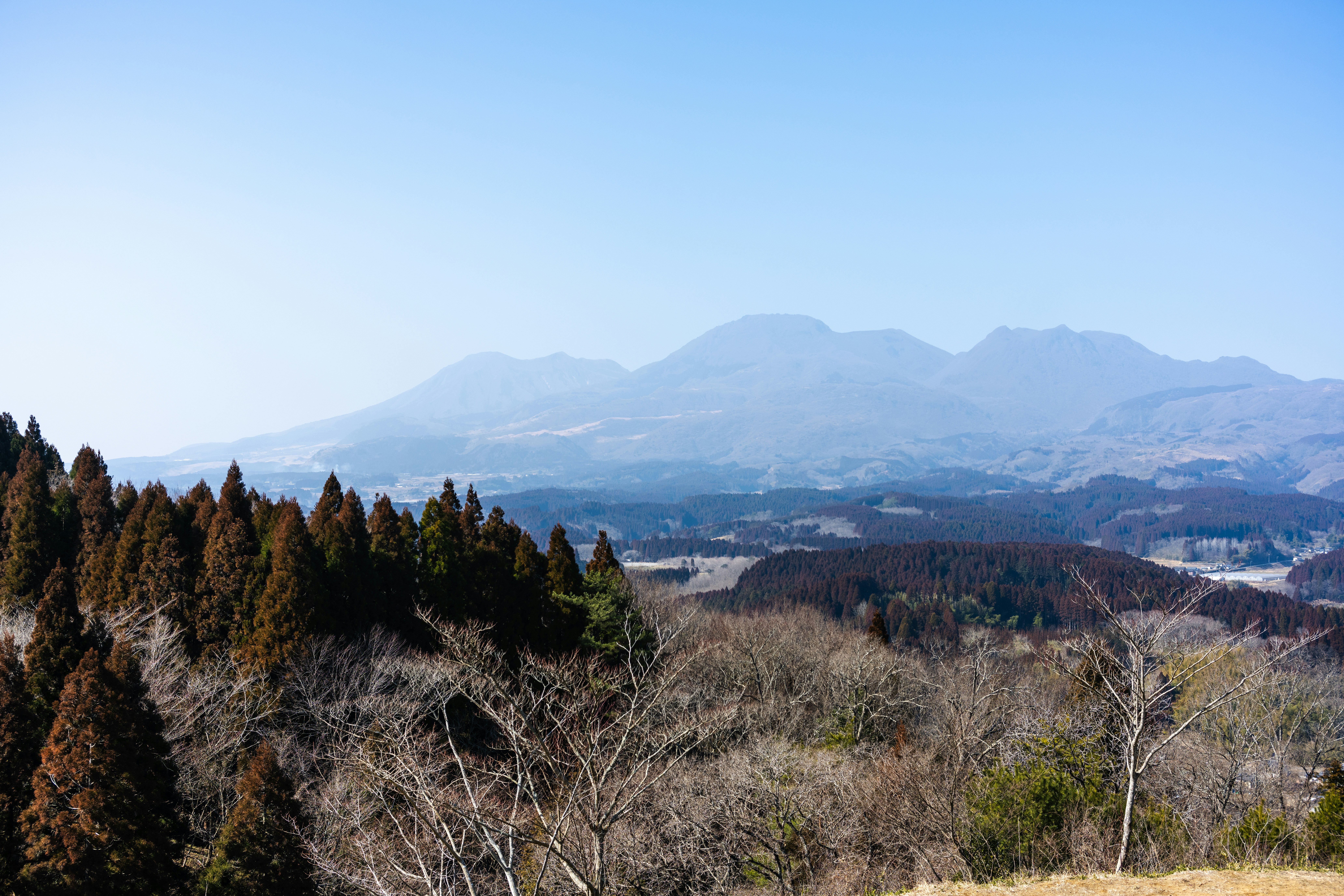 Photo by pafuxu