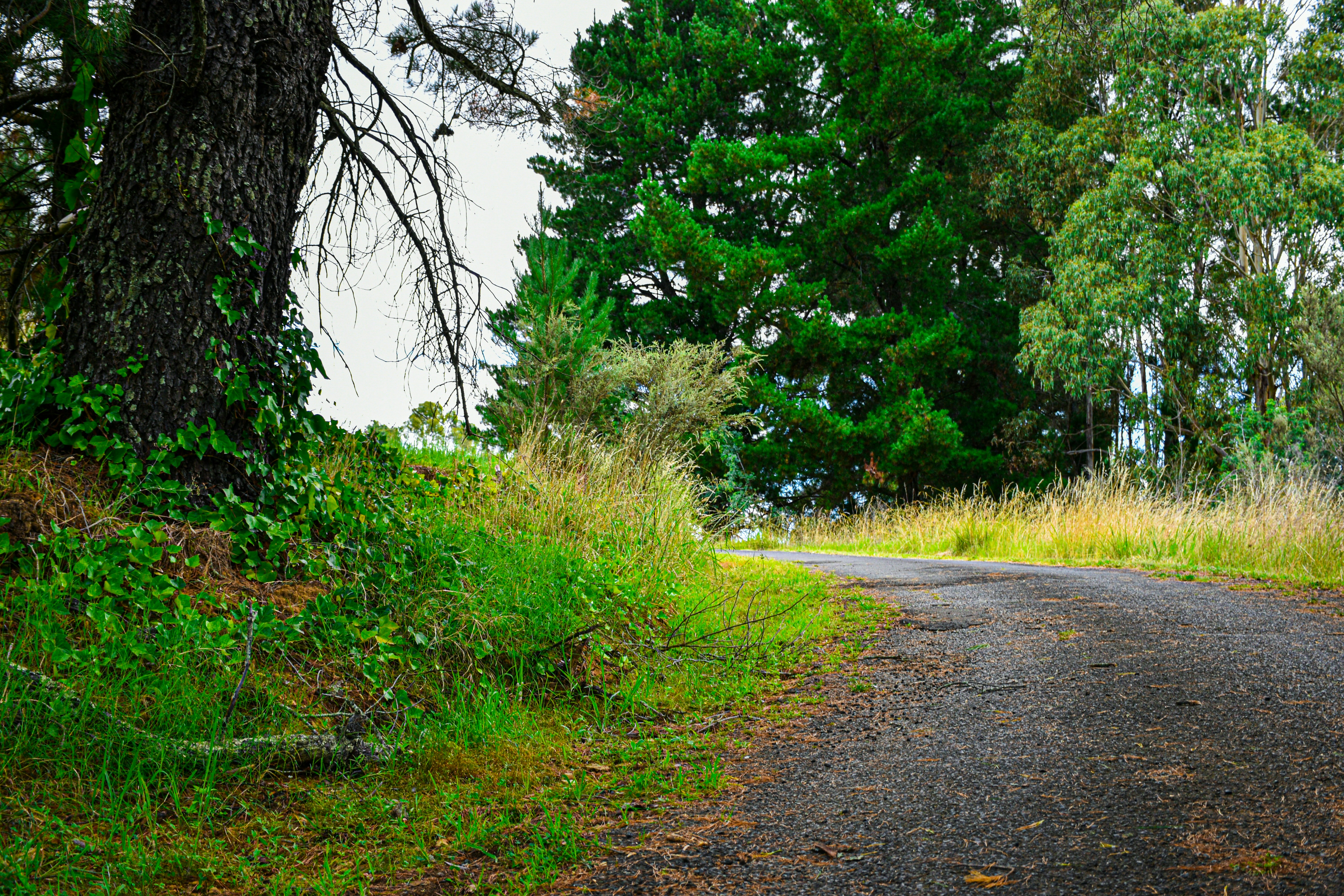 Photo by adam_skrinnikoff