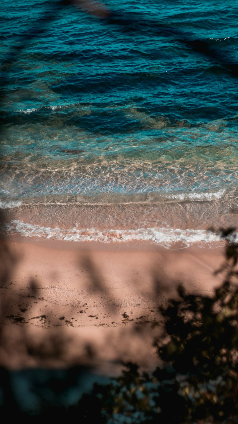 a view of a beach through a tree