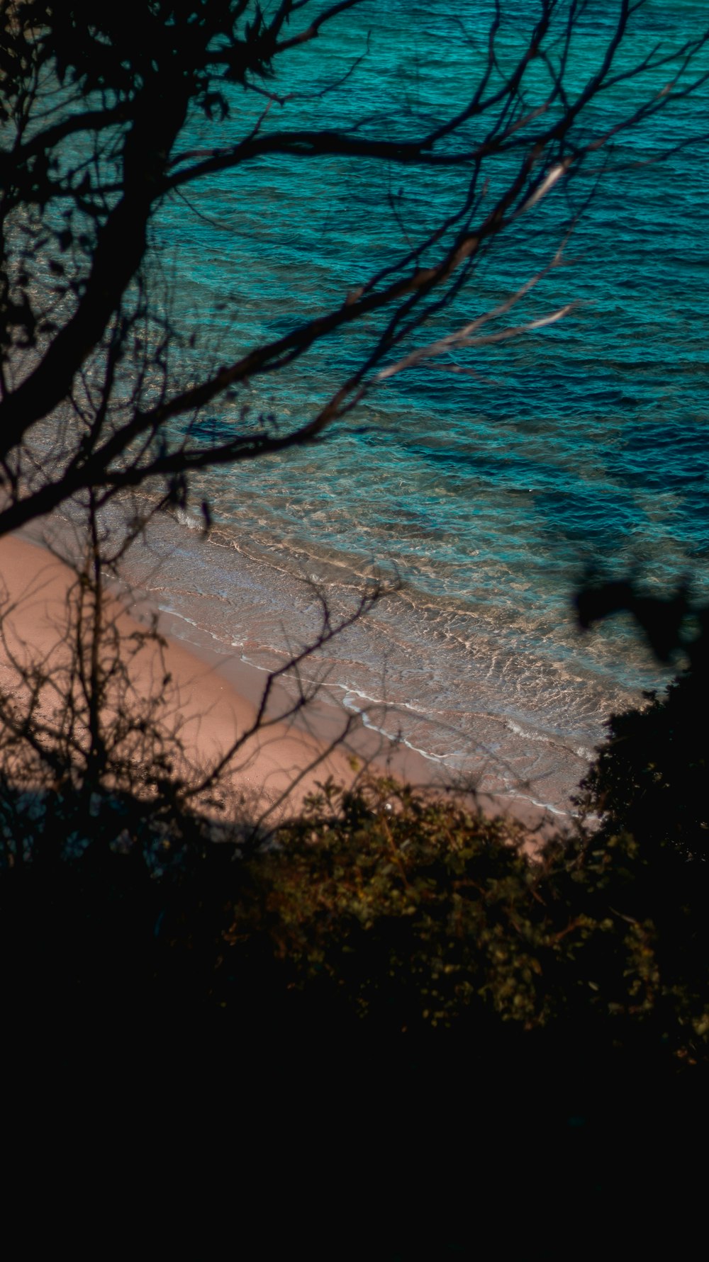 a view of a beach with a surfboard in the water