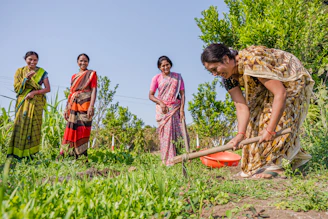 Rural Indian women working together in a field, representing women's right to work with dignity