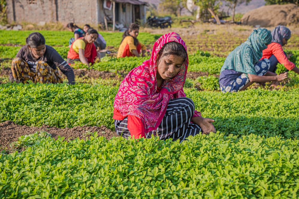 a group of women working in a field
