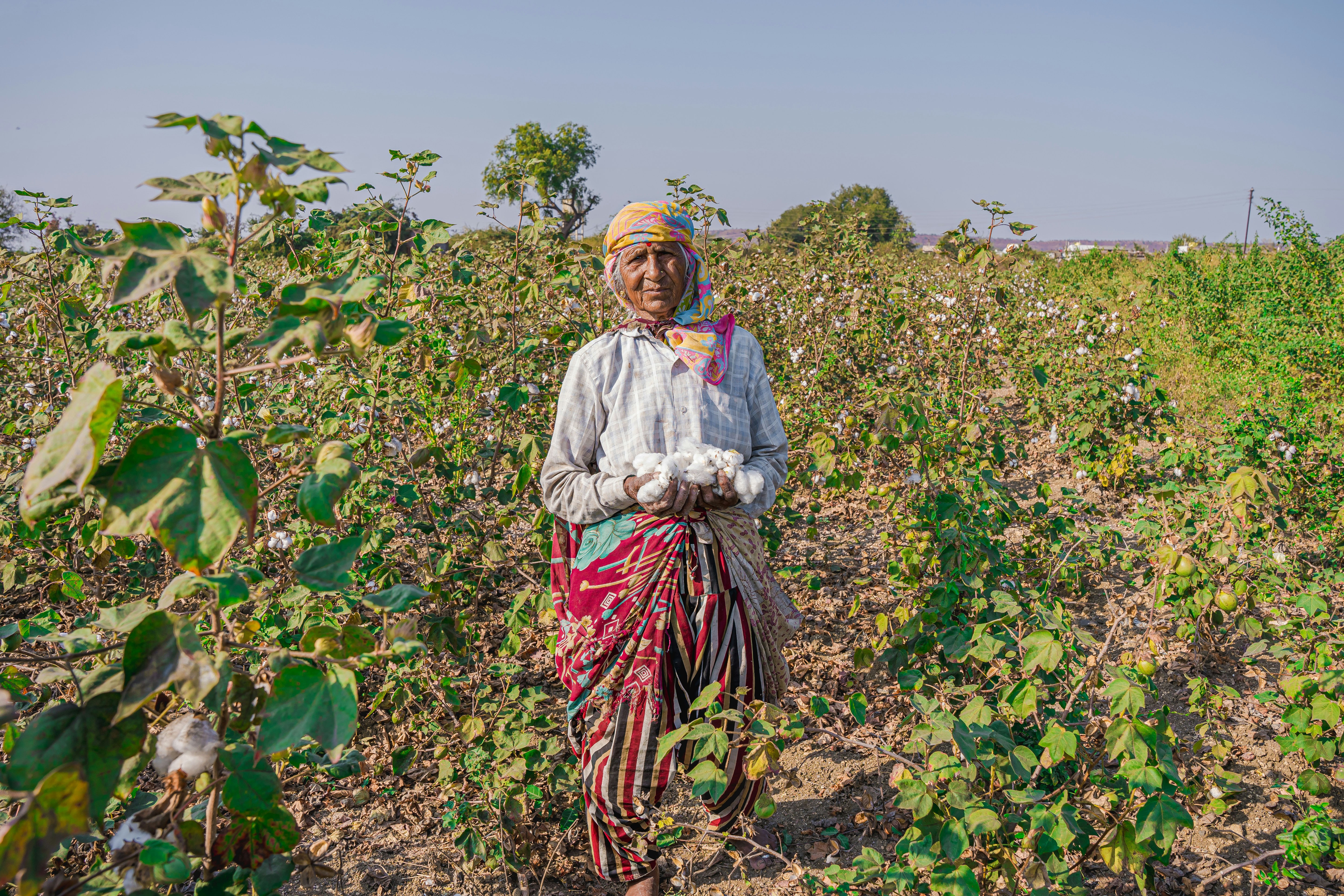 AI Adoption in India: Opportunities, Challenges and Local Success Stories