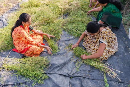 a group of women sitting on top of a lush green field