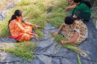 a group of women sitting on top of a lush green field