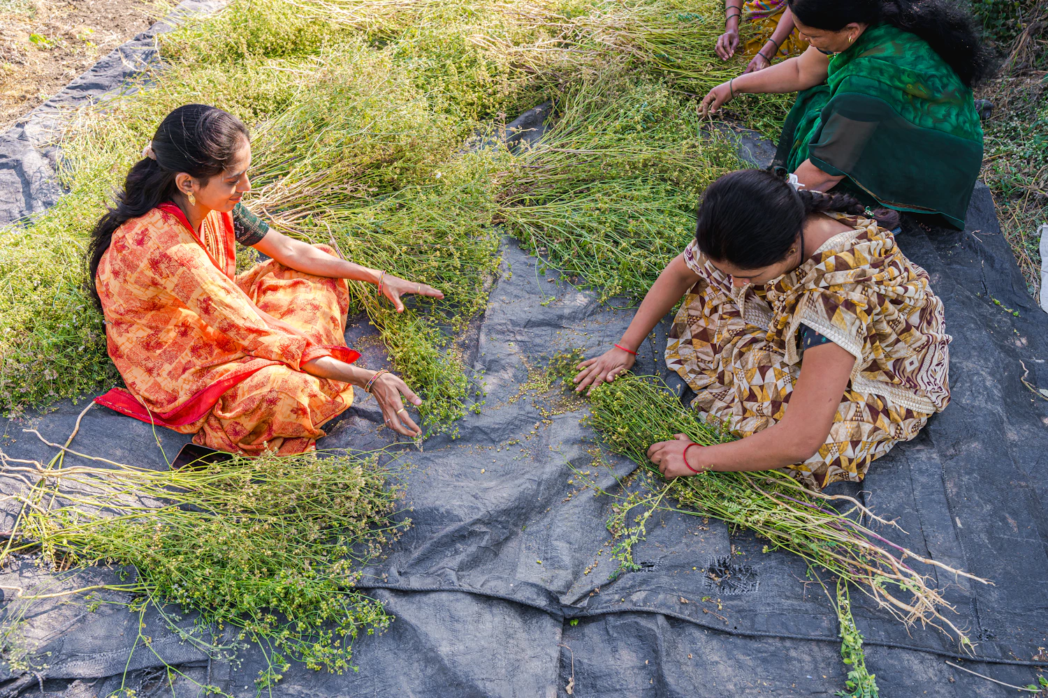 Rural women working together through a community programme