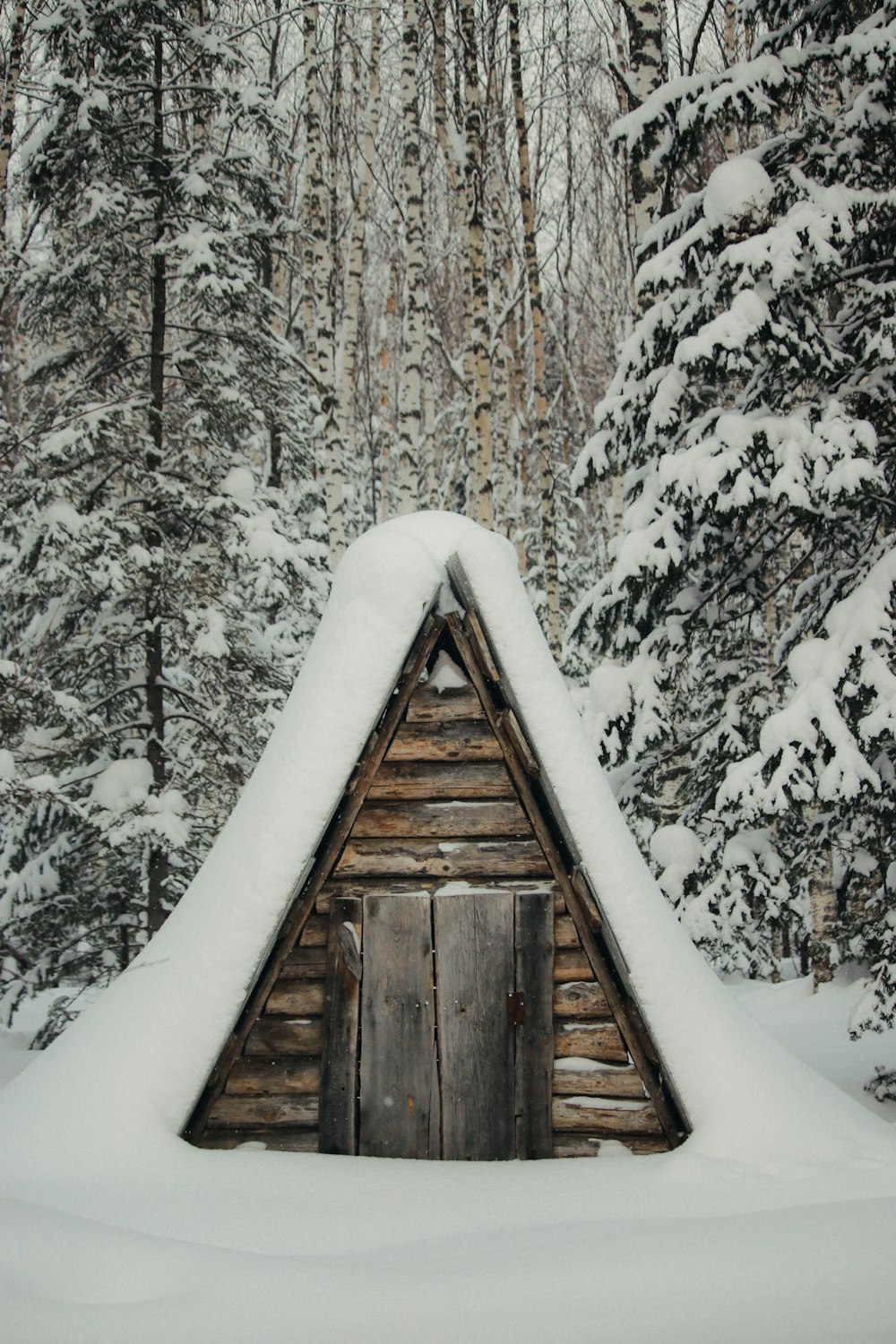 a cabin in the middle of a snowy forest