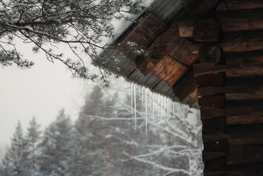 icicles hanging from the roof of a cabin