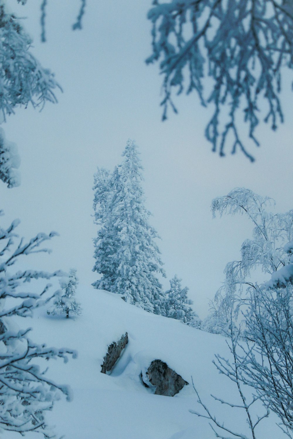 a person is skiing down a snowy hill