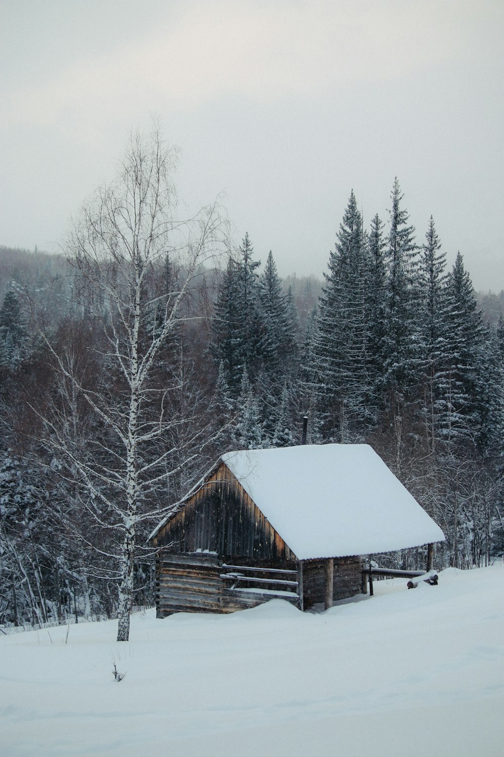 a cabin in the middle of a snowy field