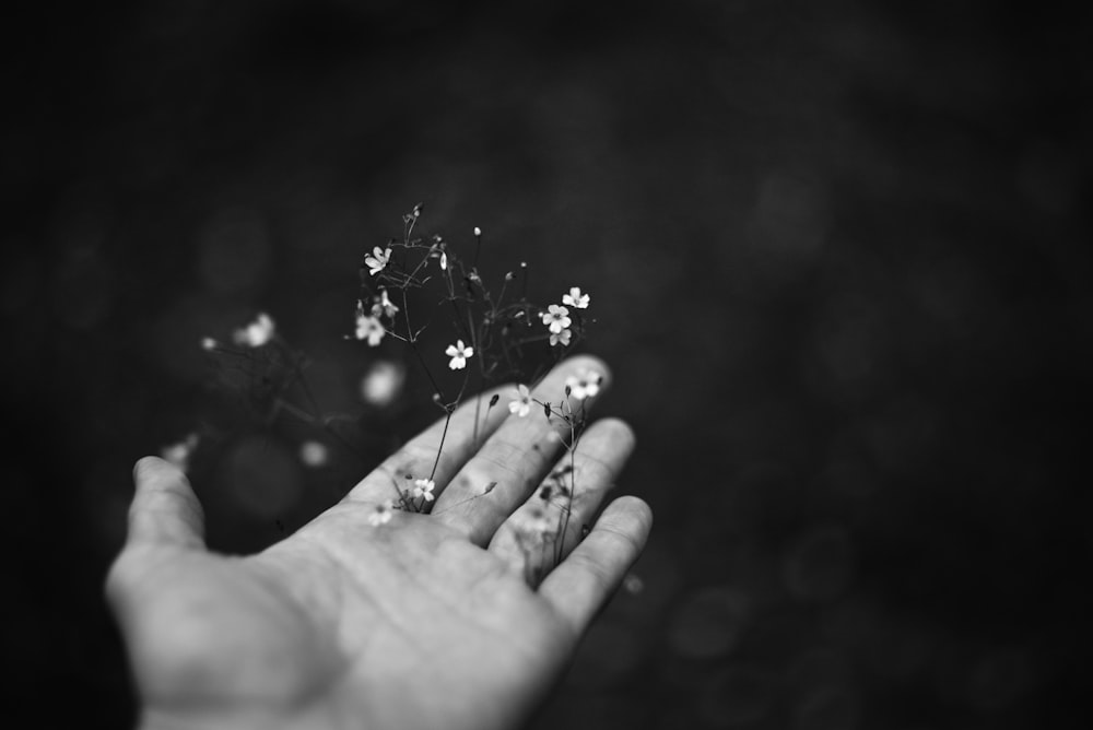 a person's hand holding a bunch of flowers