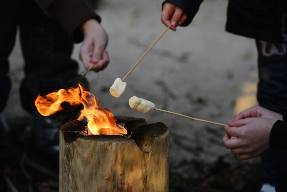 a group of people cooking marshmallows over a fire