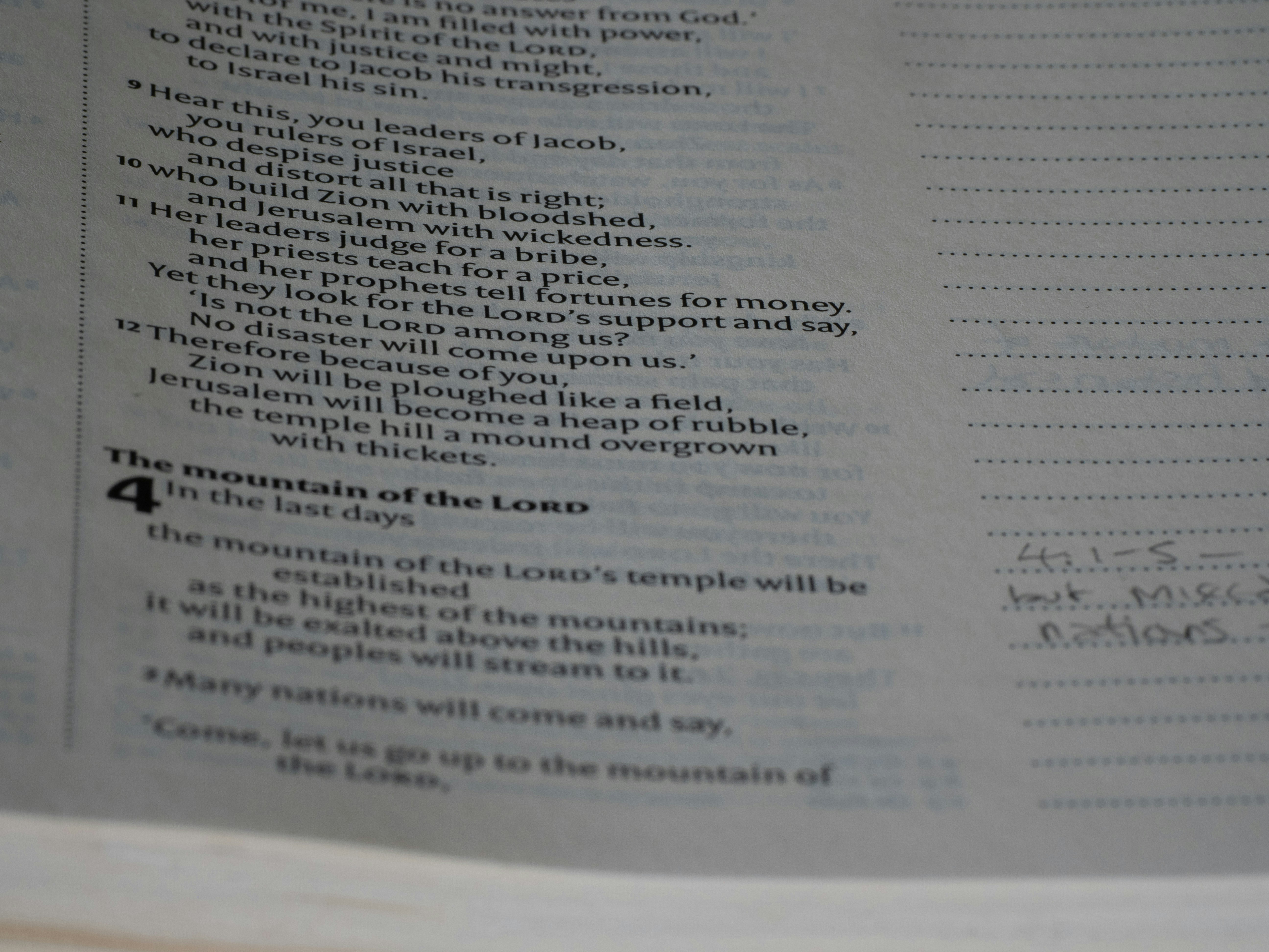 Photo by brett_jordan