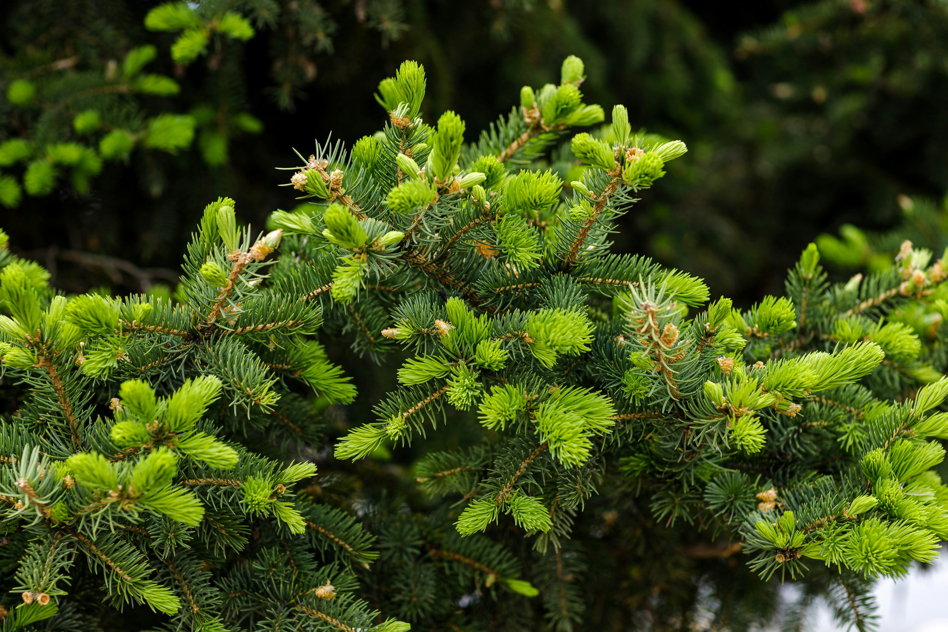 Photo by malygos6000