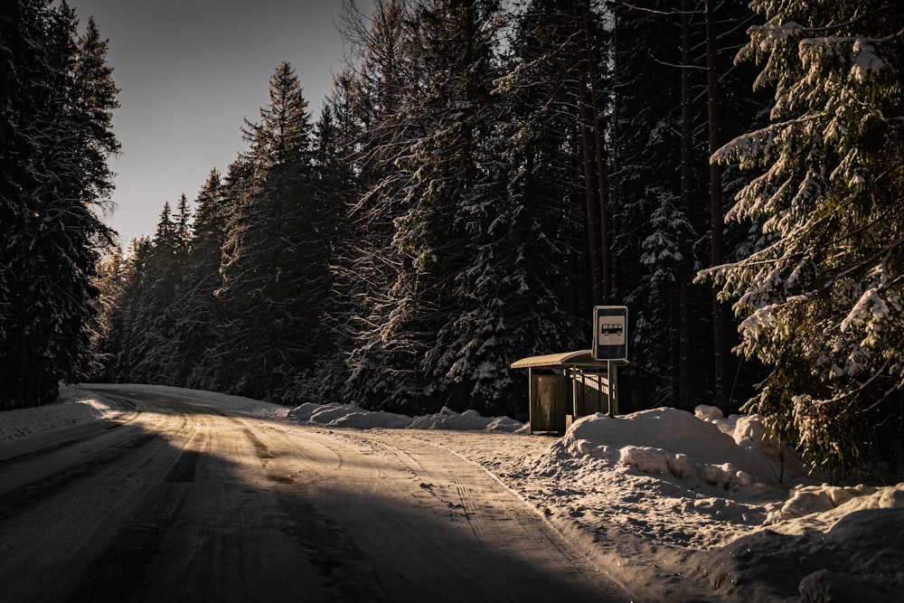 a snow covered road in the middle of a forest