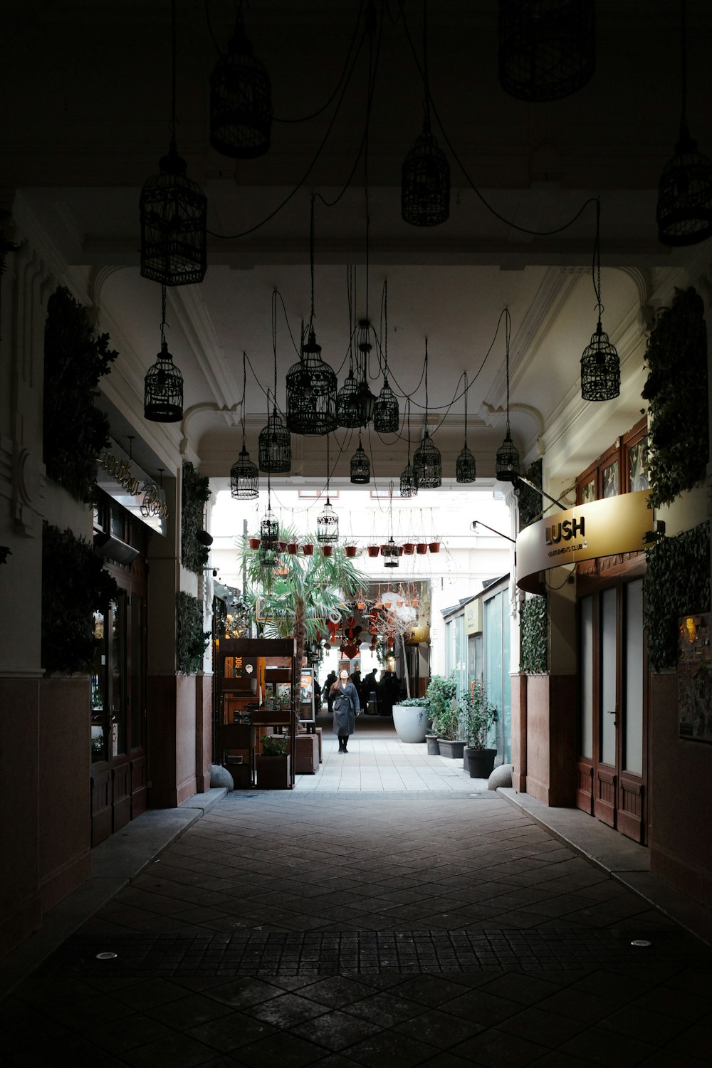 a dimly lit hallway with hanging plants and potted plants