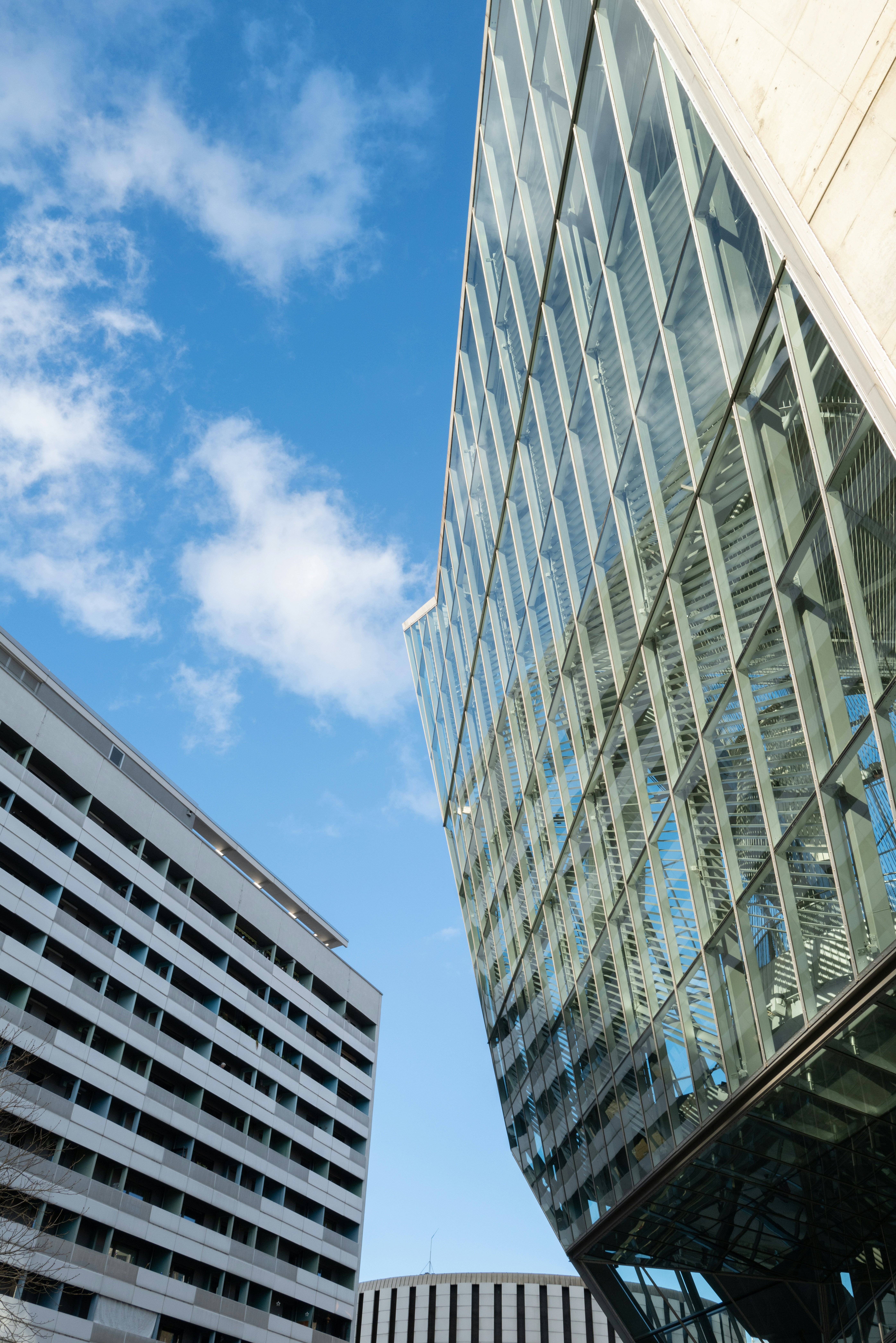 Photo by dominikferl