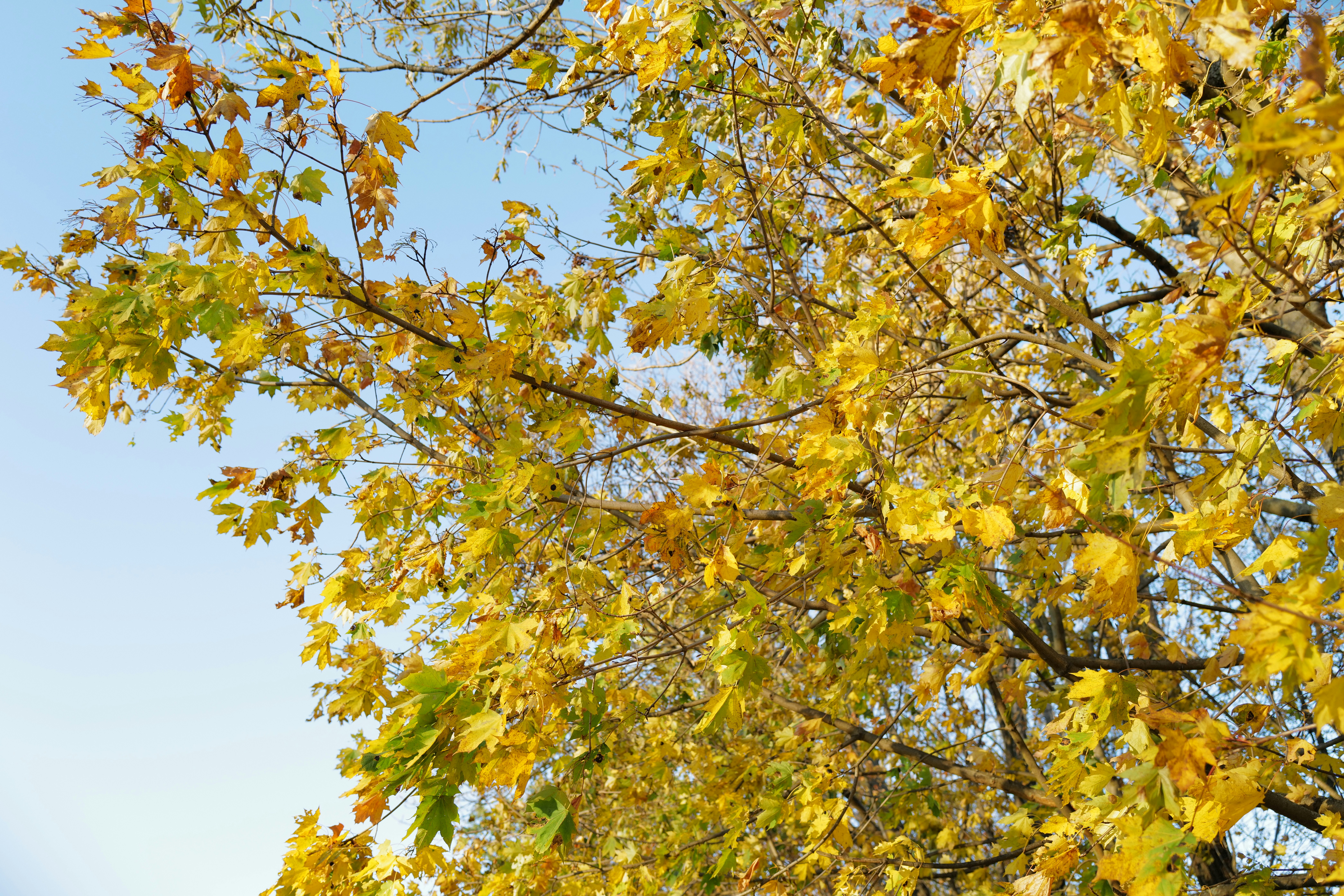 Photo by dominikferl