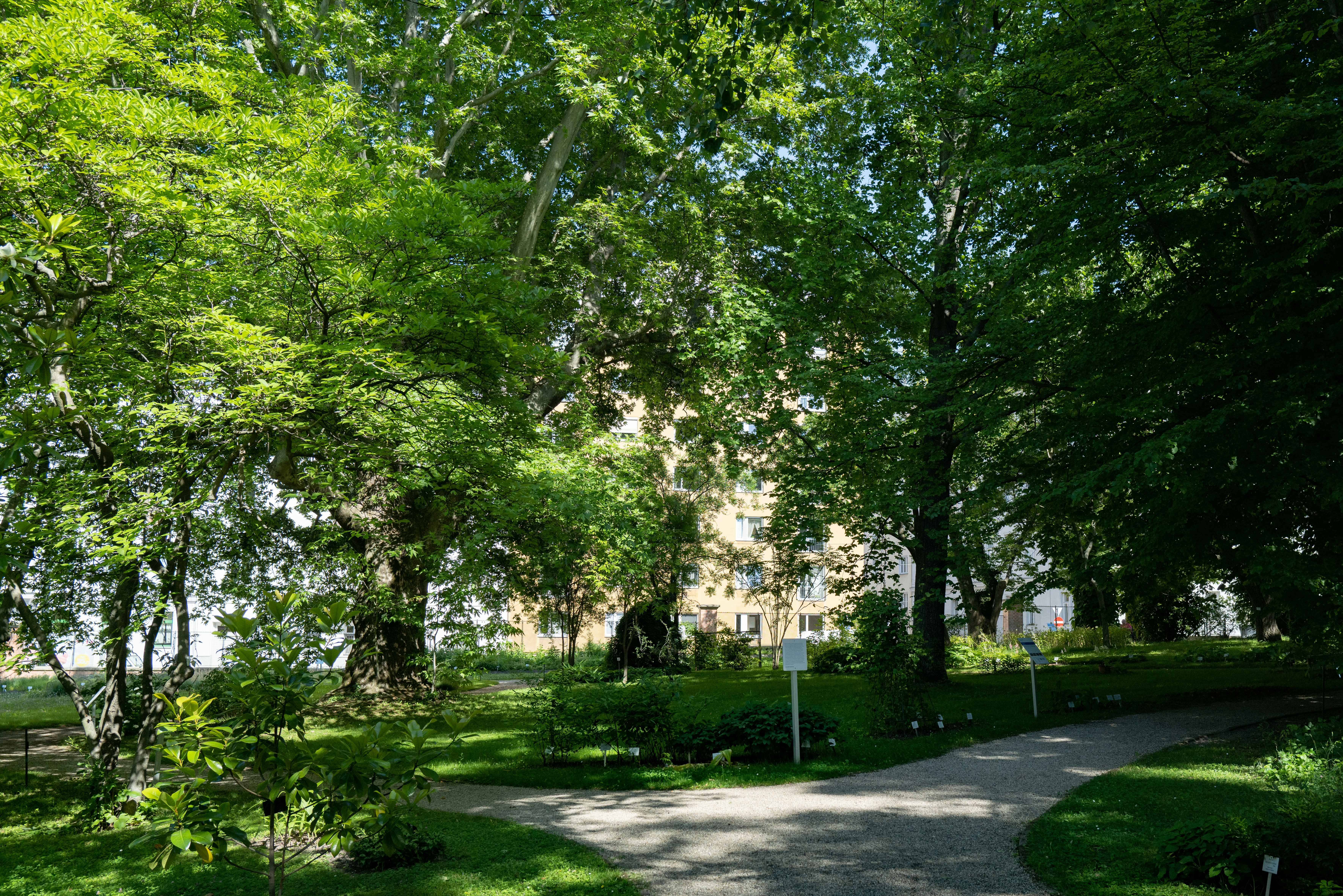 Photo by dominikferl