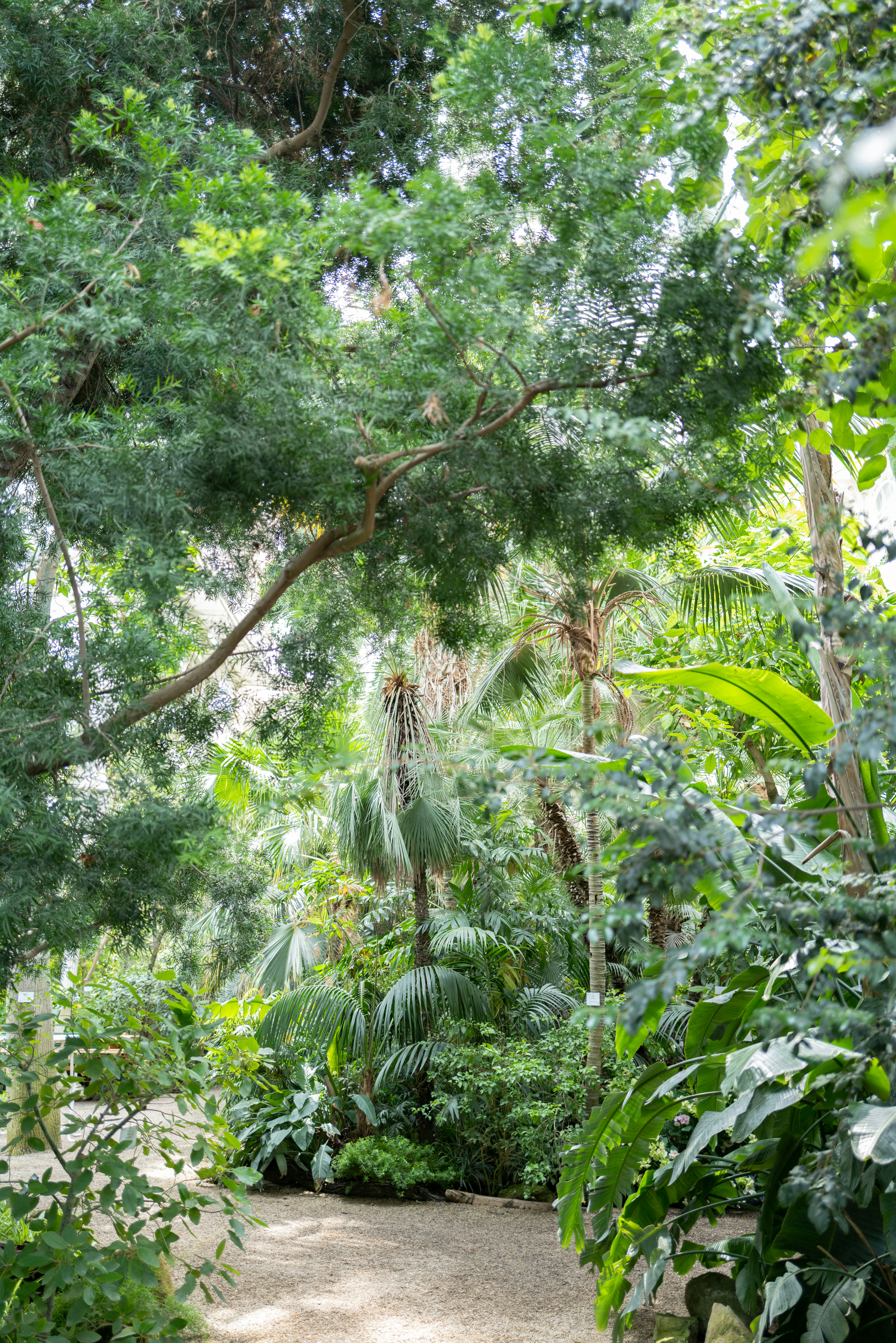 Photo by dominikferl