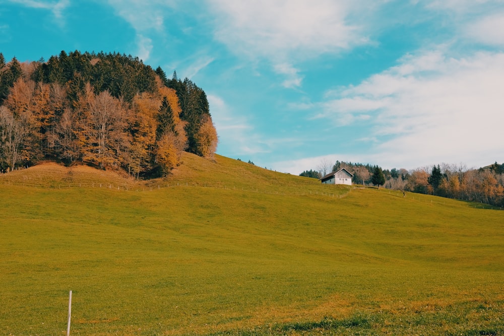 a grassy field with a house on top of it