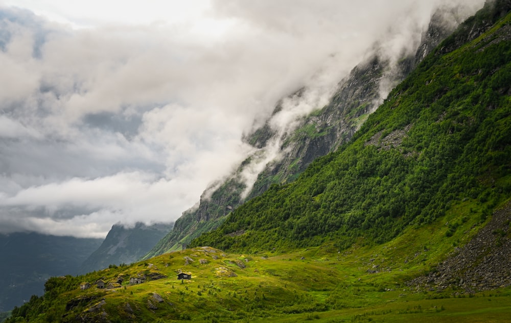 a mountain with a grassy field below it