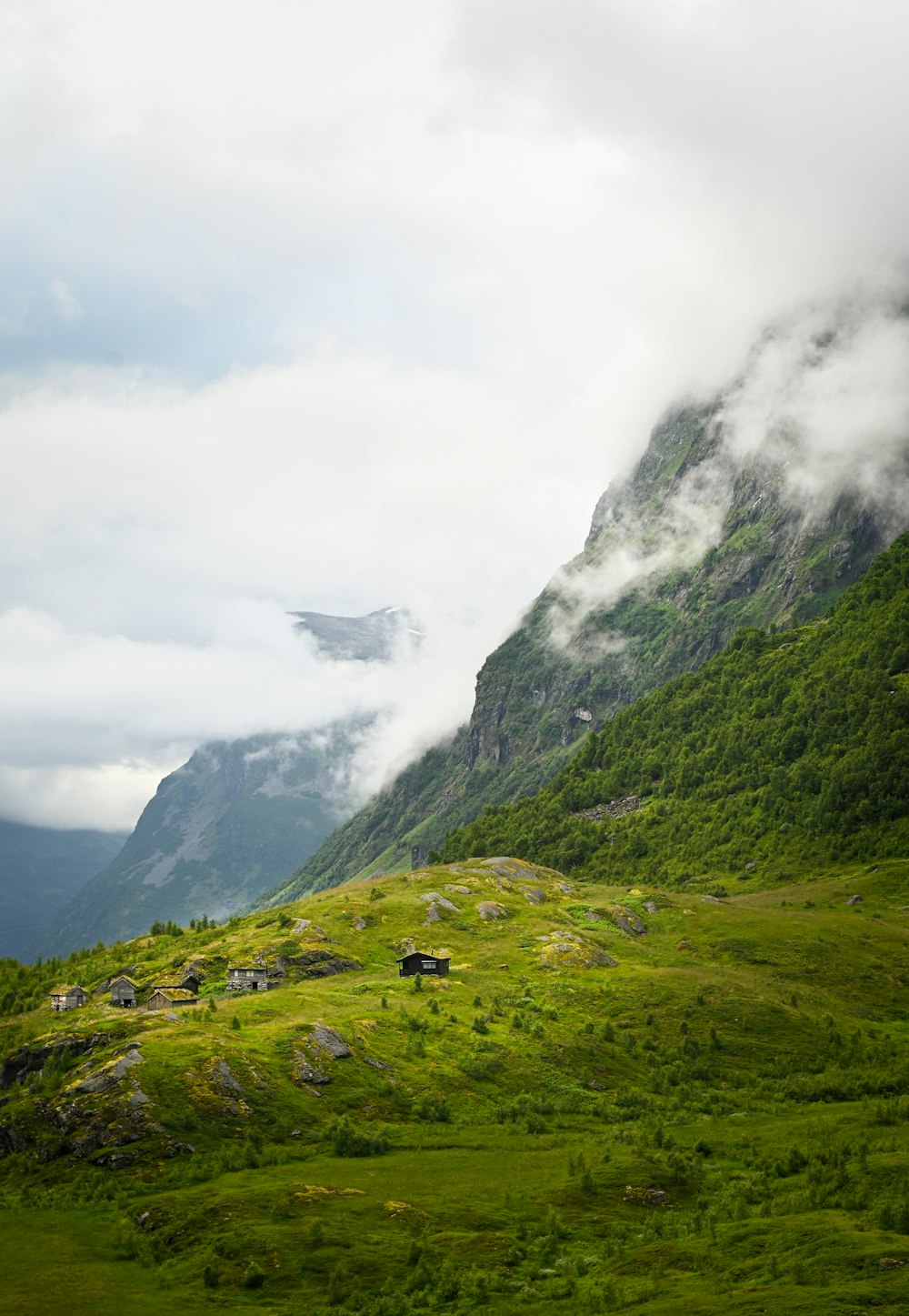 a grassy field with a mountain in the background