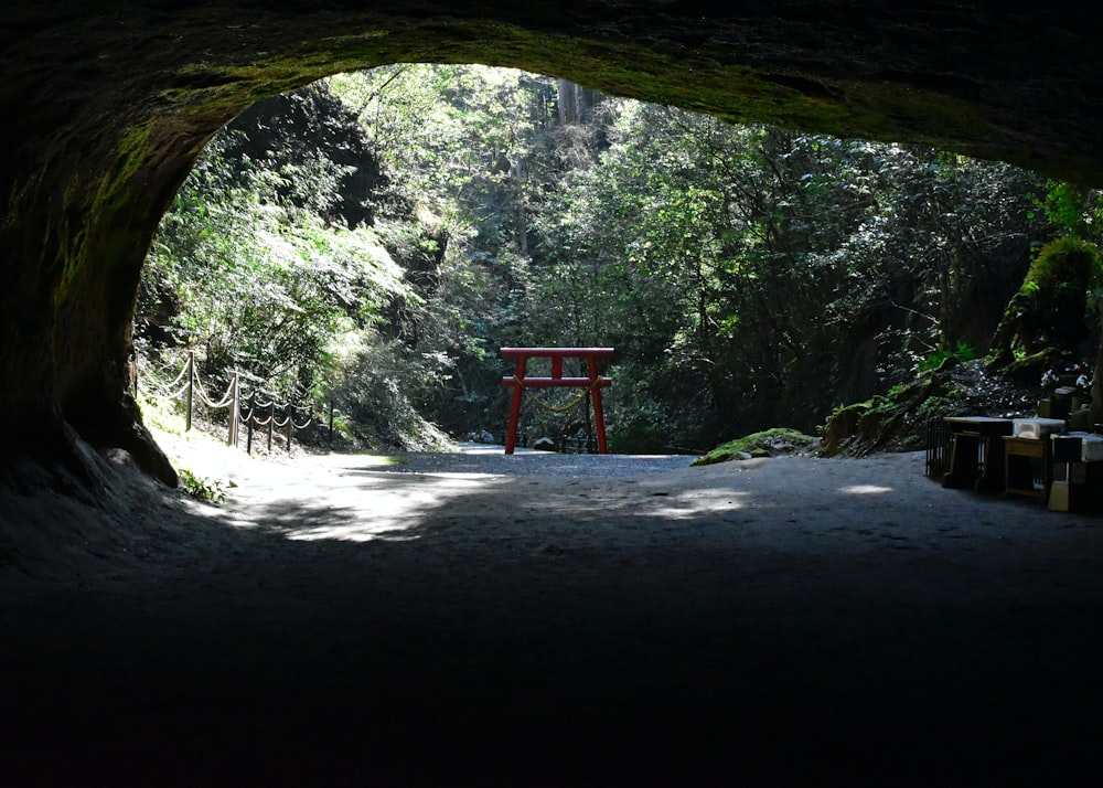 a red chair sitting in the middle of a forest