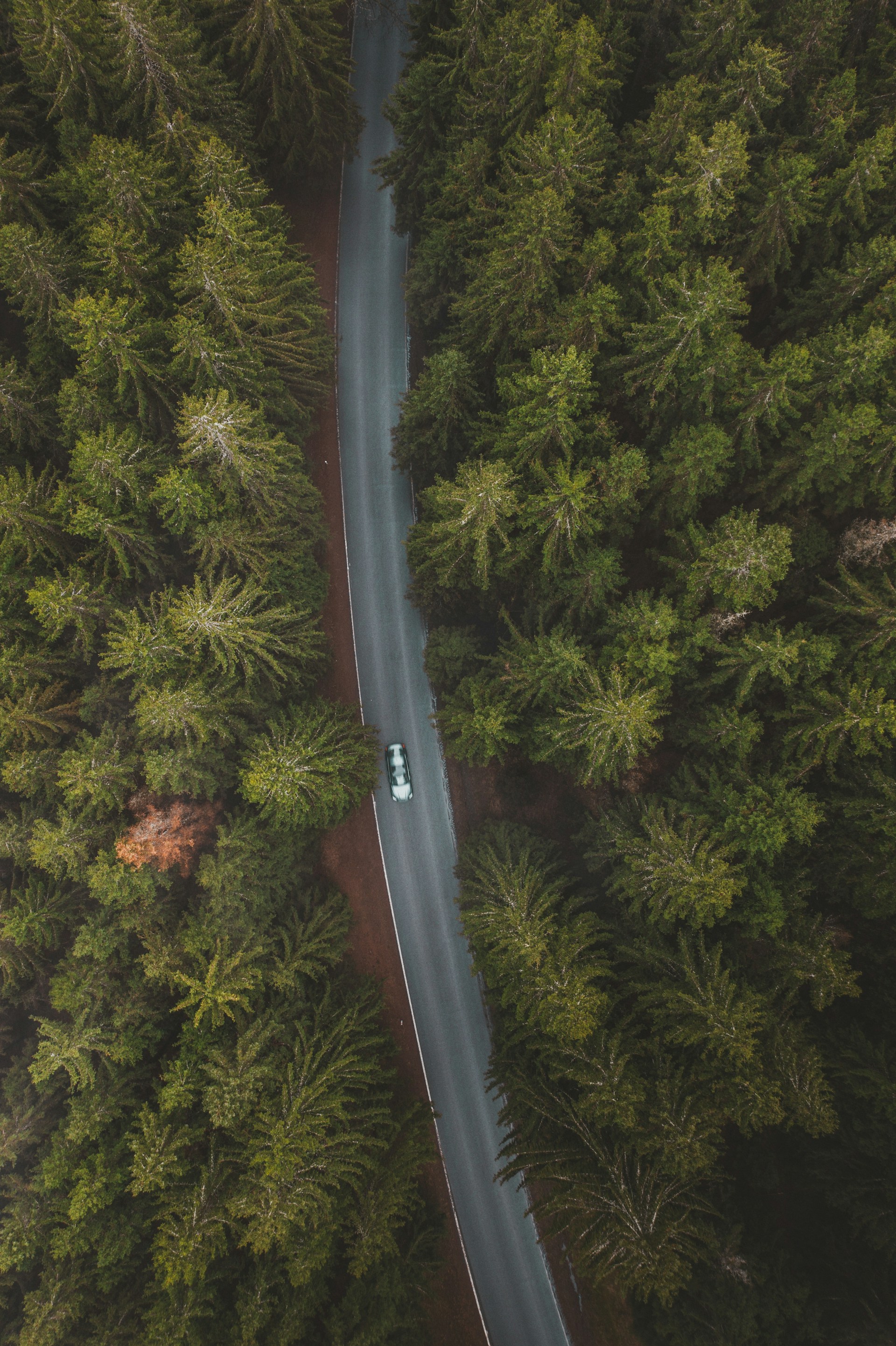 an aerial view of a car driving down a road in the middle of a forest