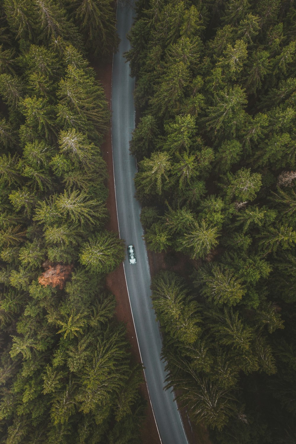 an aerial view of a car driving down a road in the middle of a forest