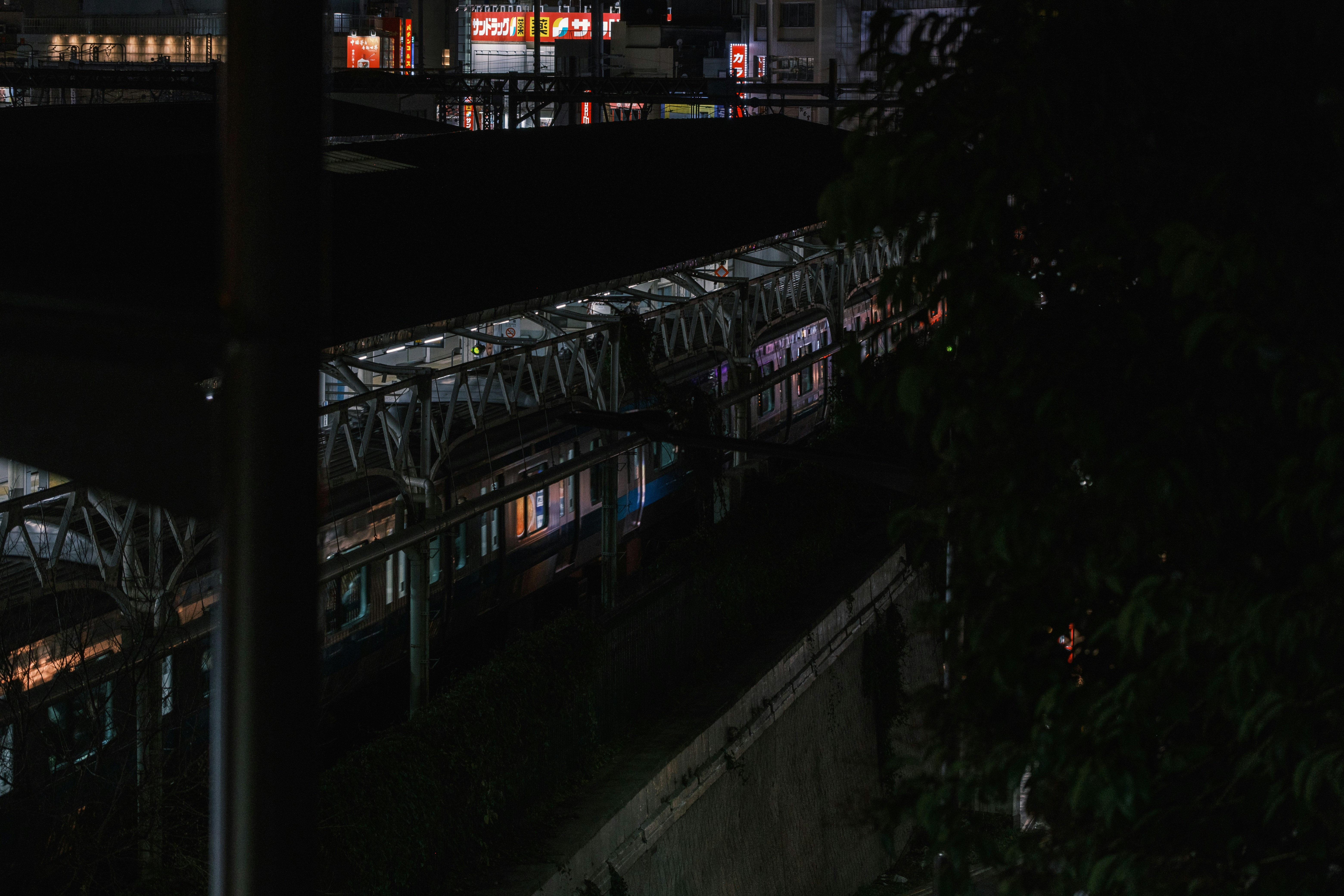 Photo by nichiyoshi